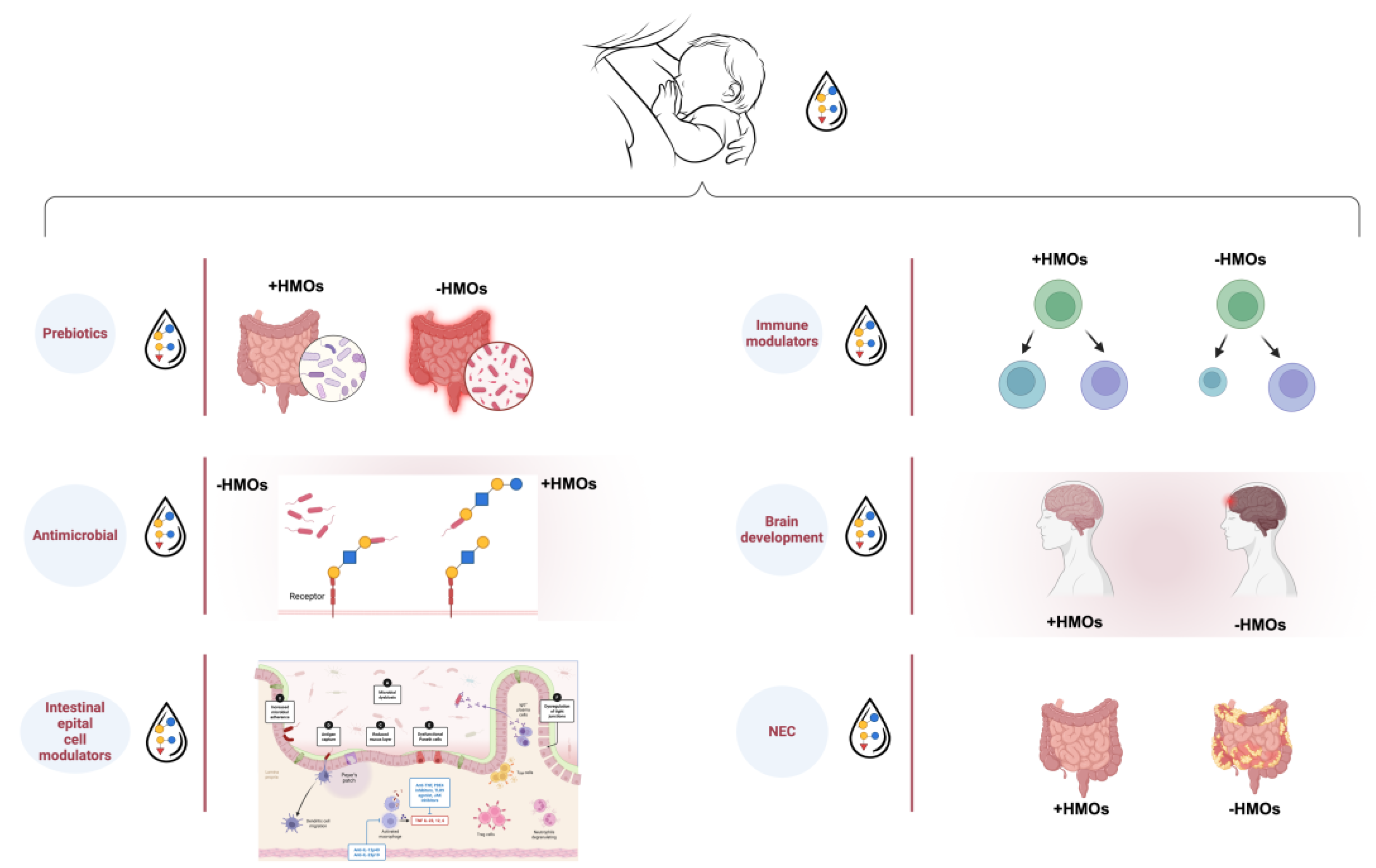 Preprints 141541 g004