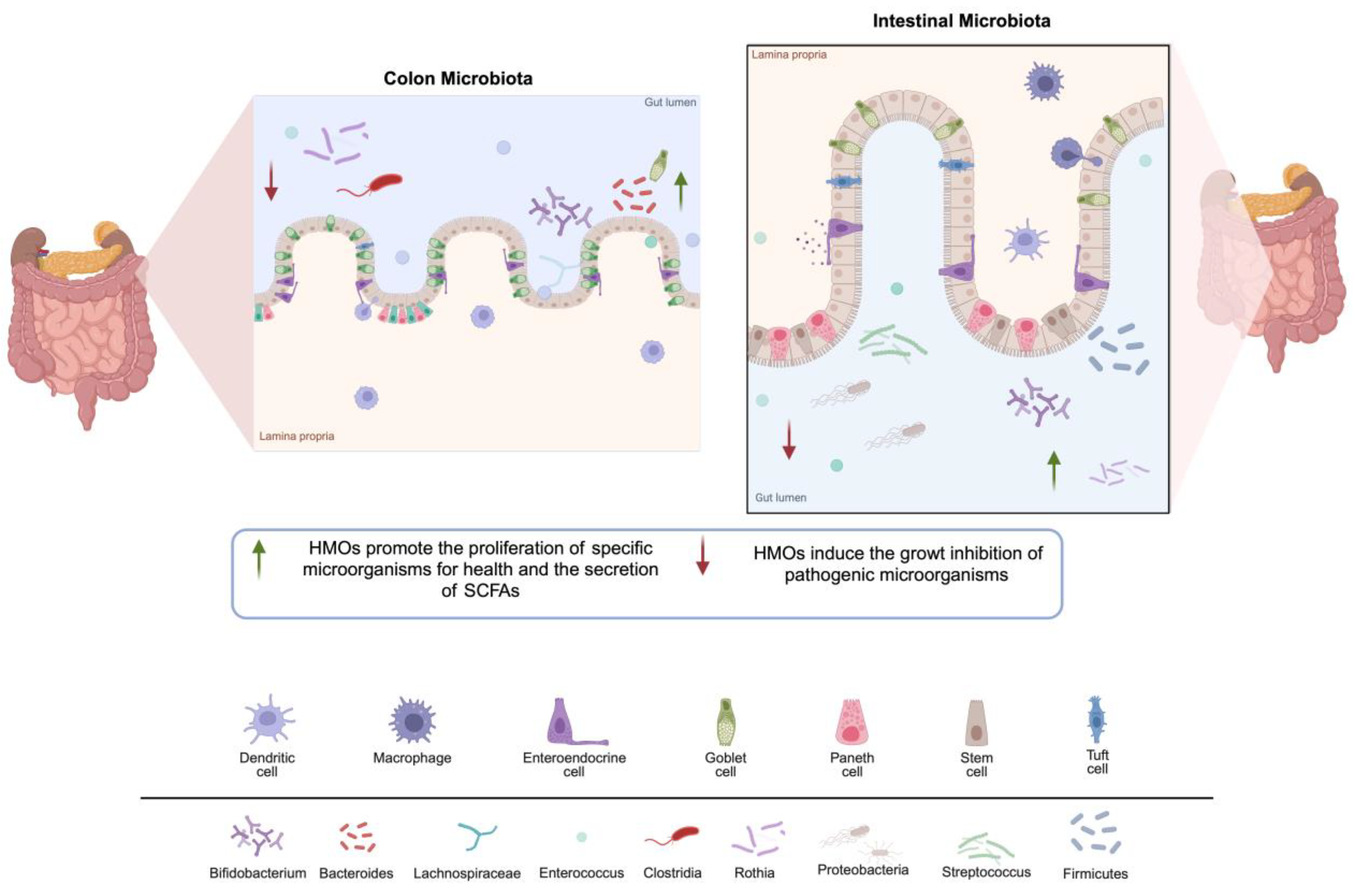 Preprints 141541 g005