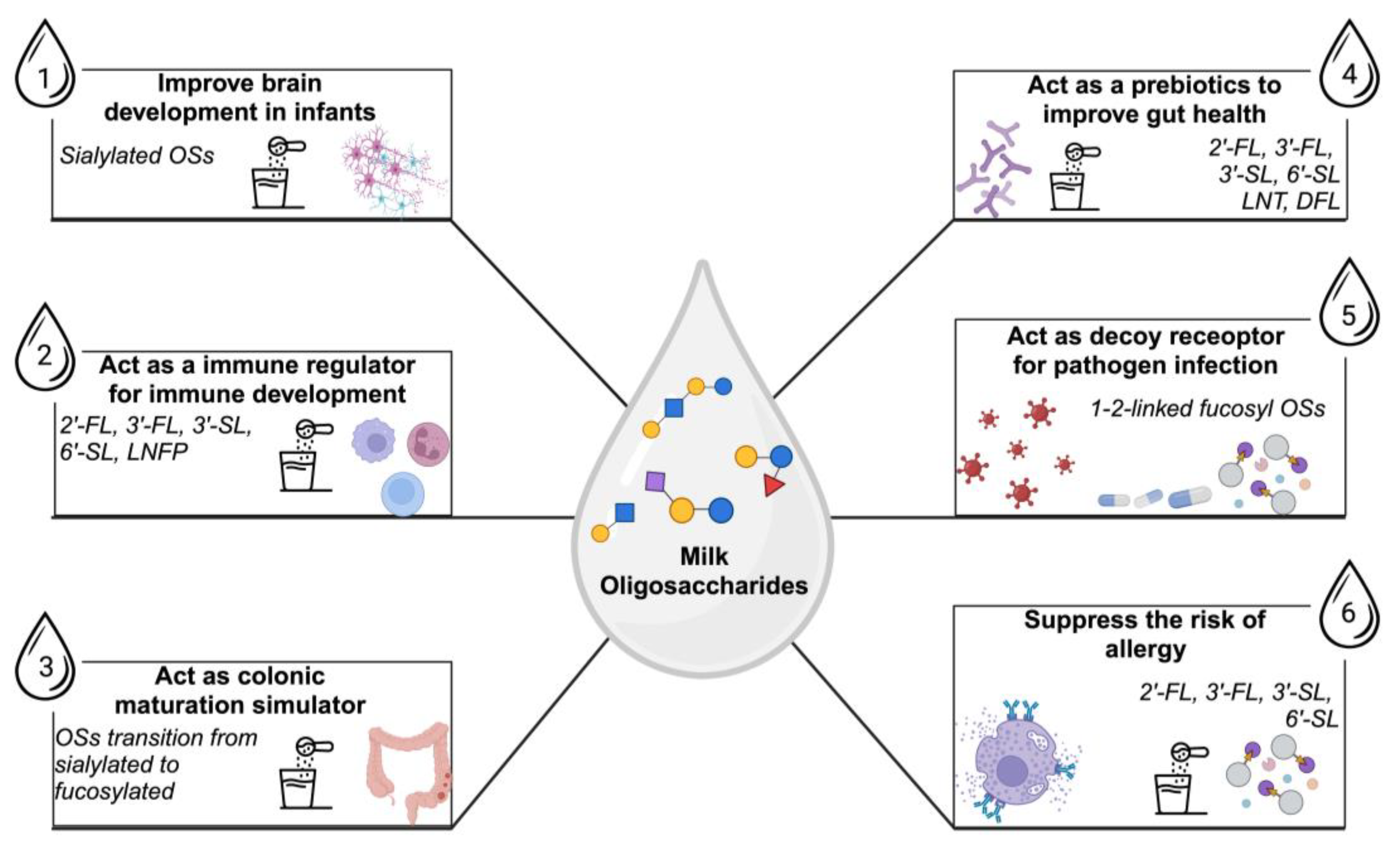 Preprints 141541 g007