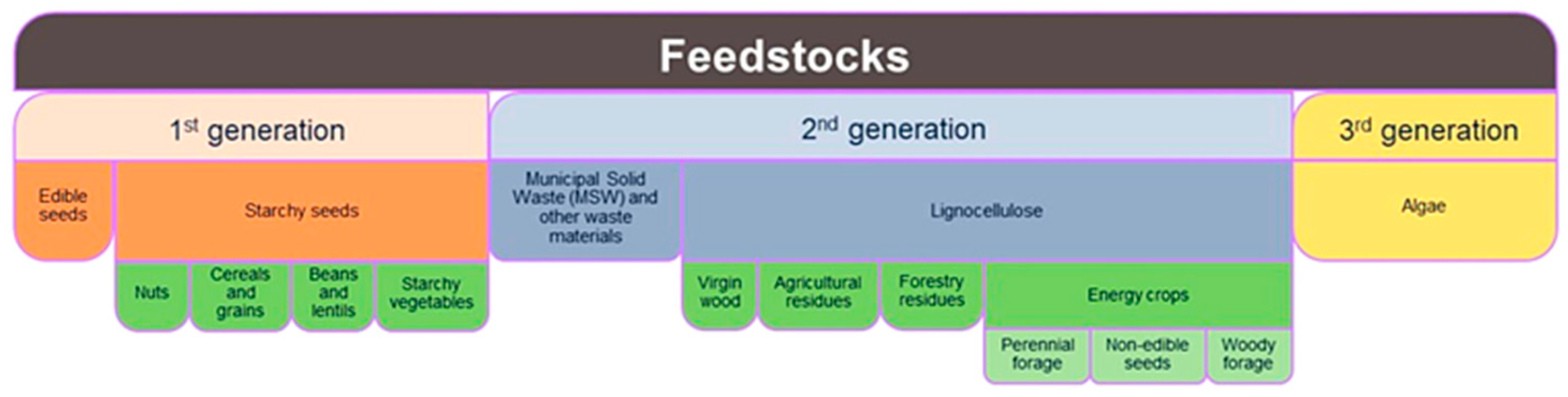 Preprints 149599 g001