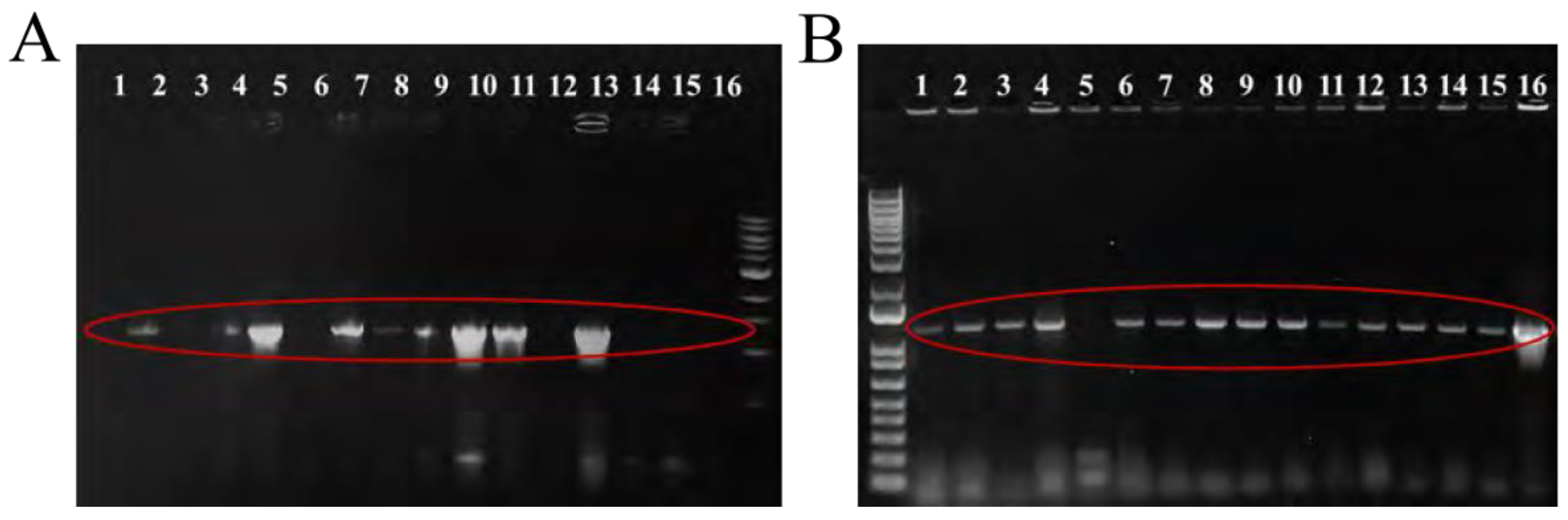 Preprints 137458 g002