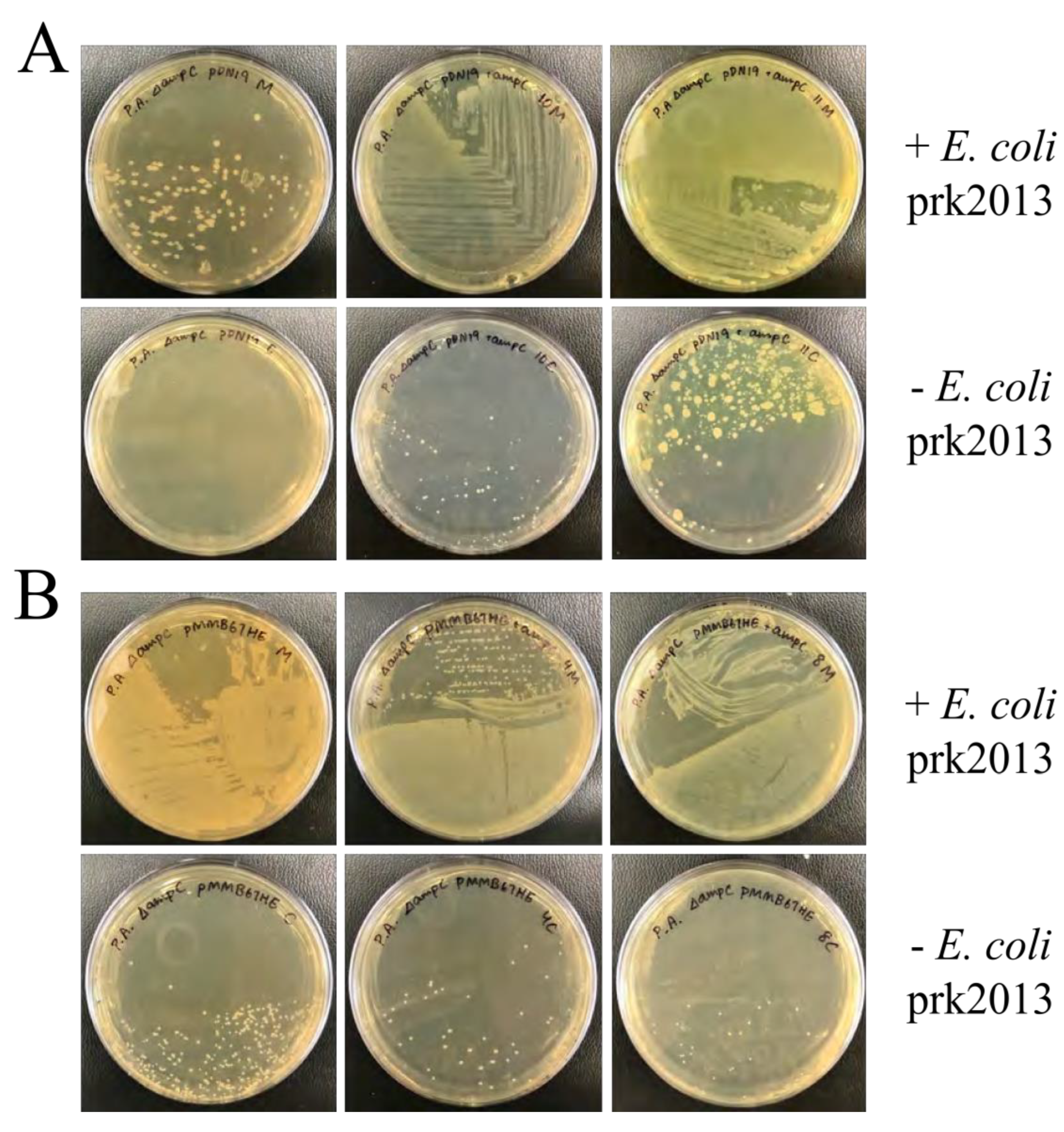 Preprints 137458 g003