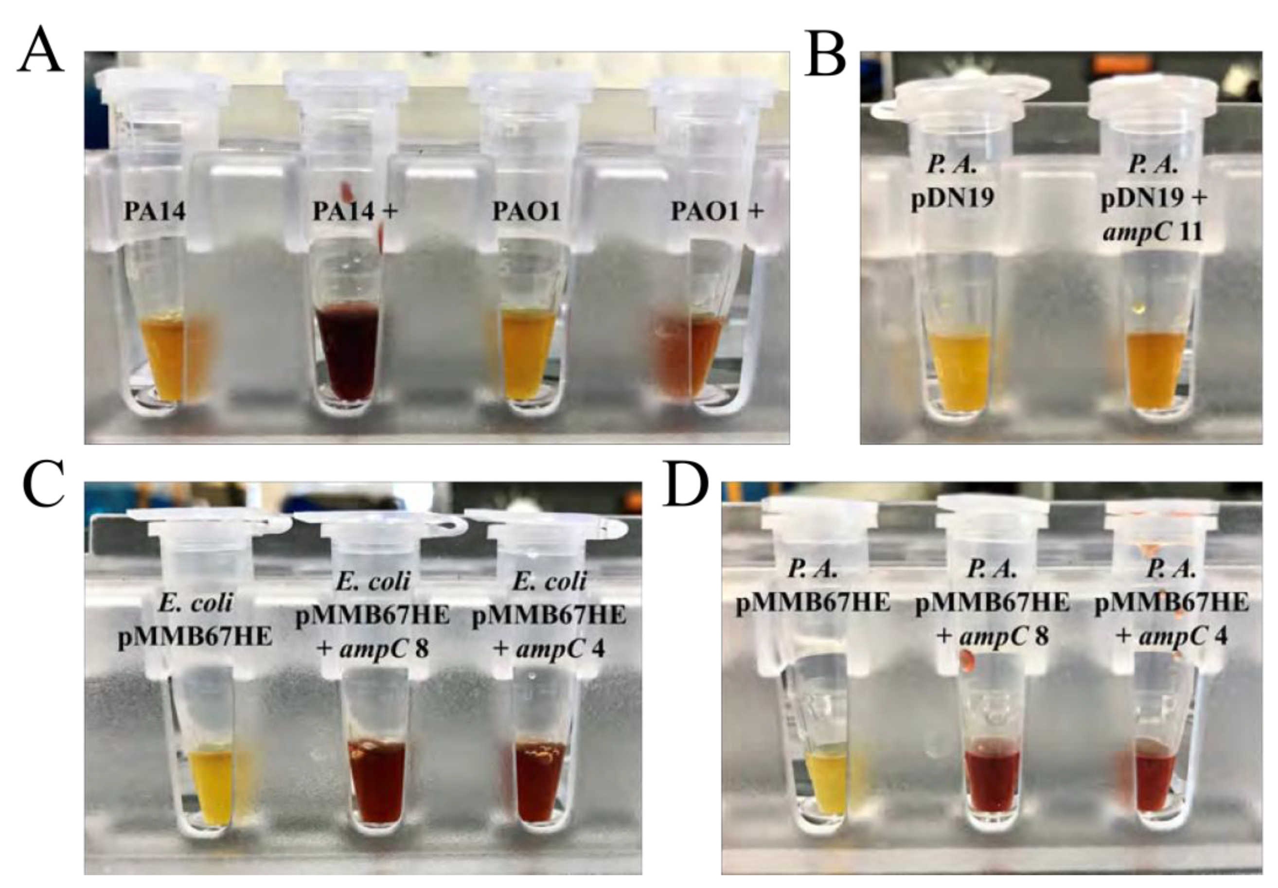 Preprints 137458 g004