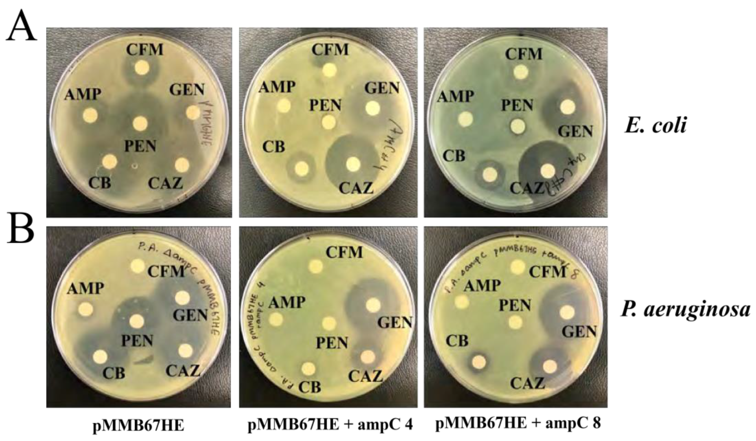Preprints 137458 g006
