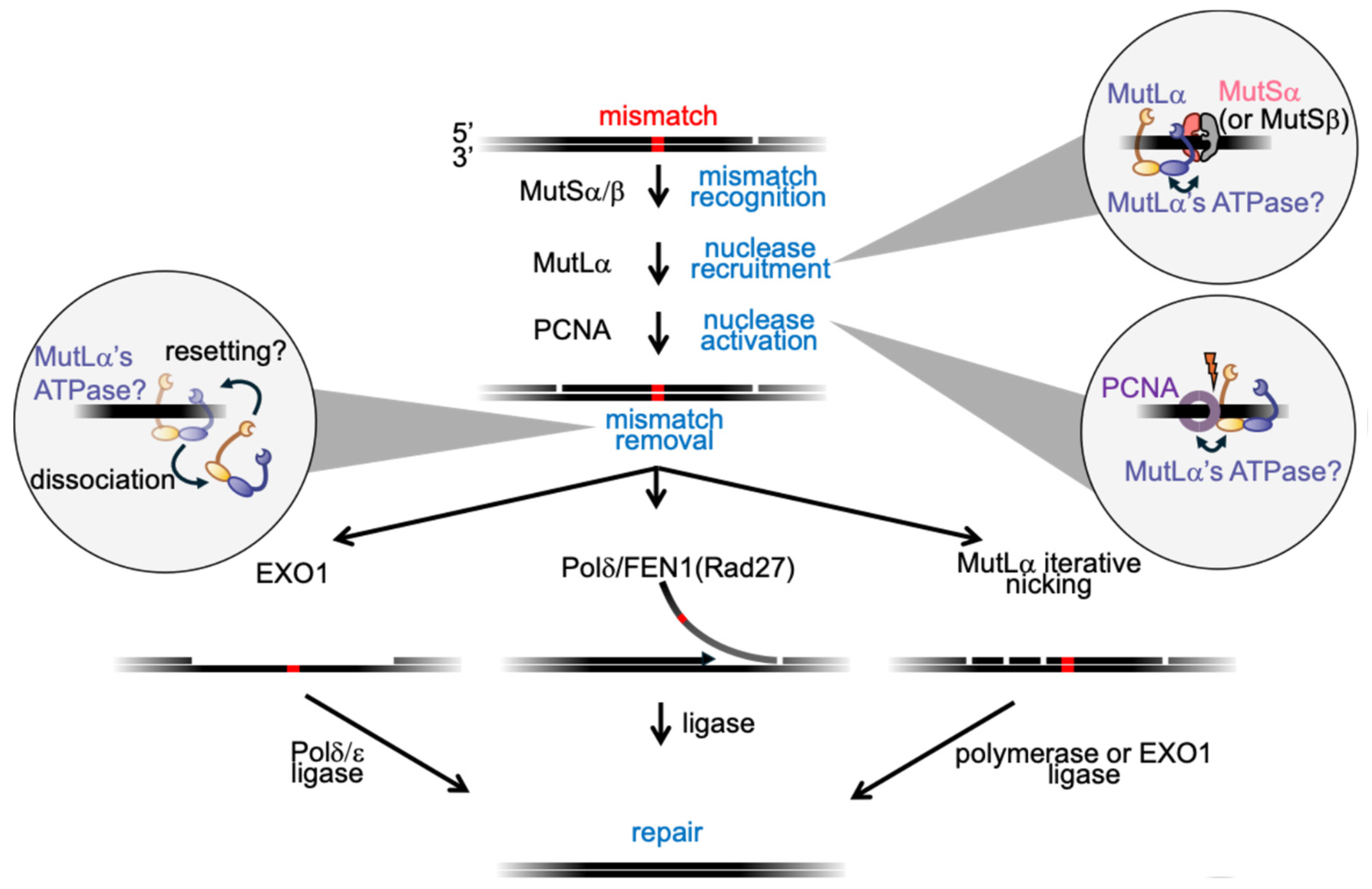 Preprints 182681 g001