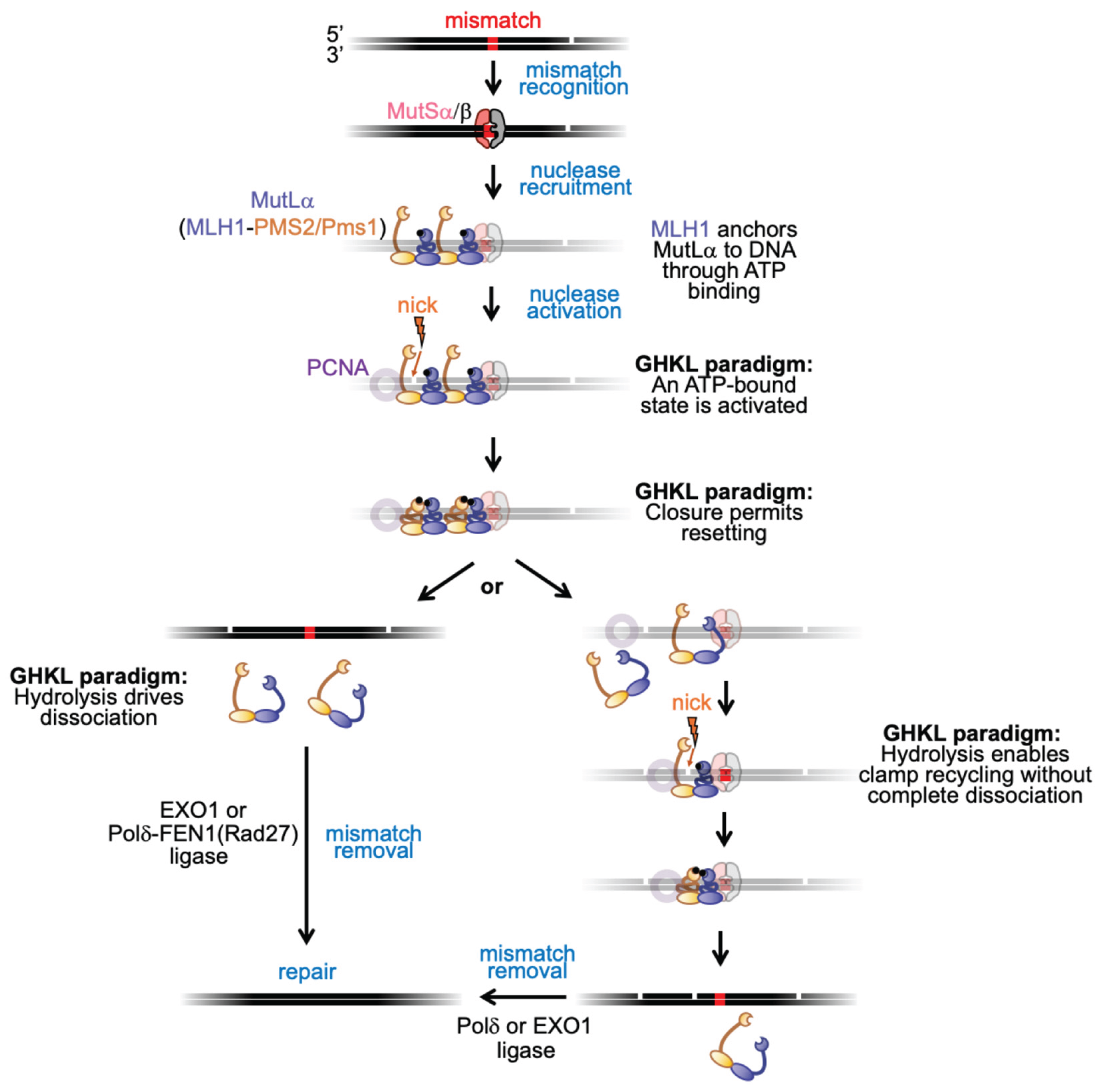 Preprints 182681 g004