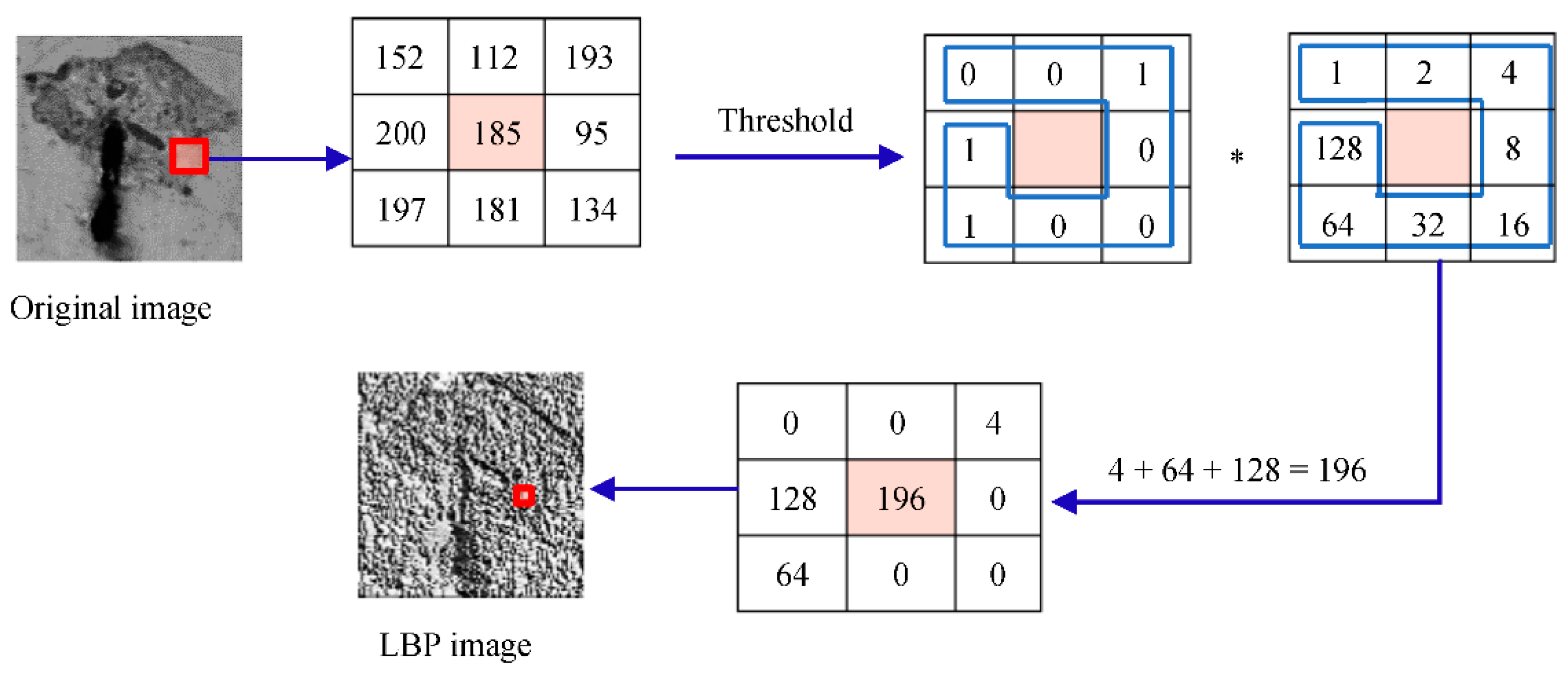 Preprints 156452 g002