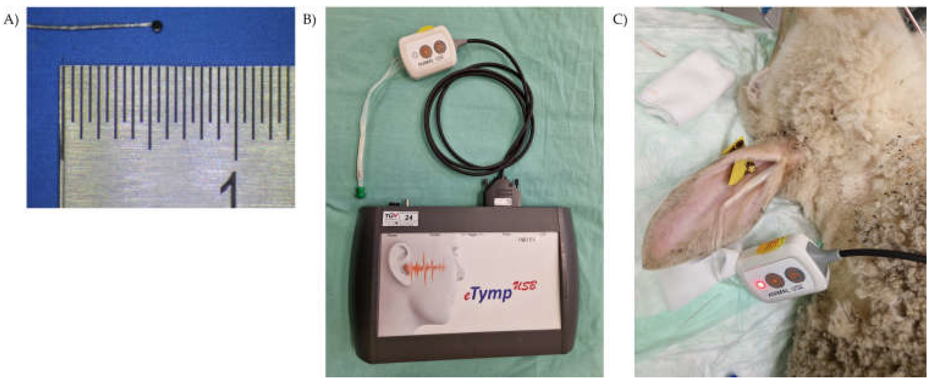 Preprints 213085 g001 Preprints 213085 g001