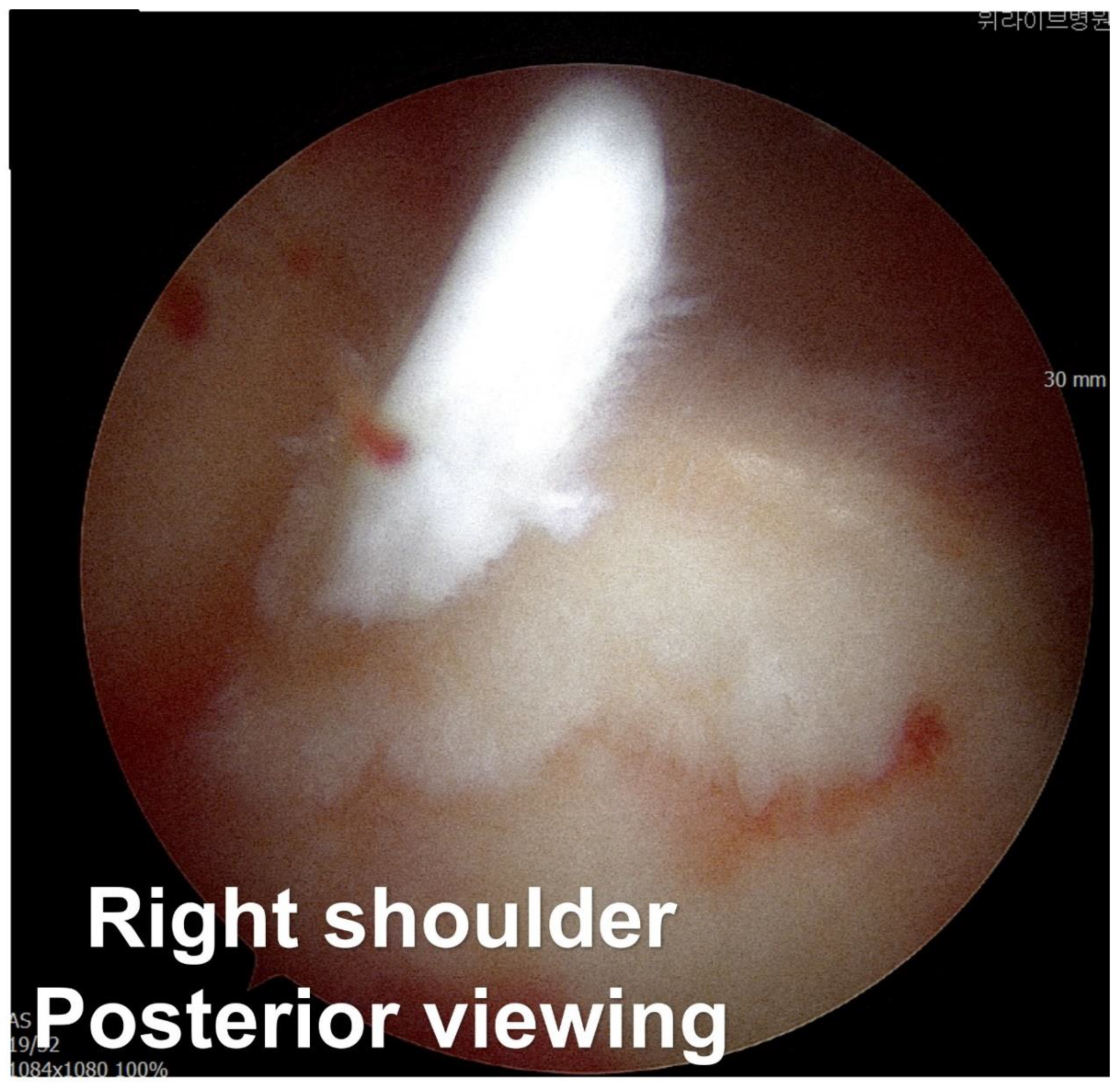 Preprints 155215 g001a