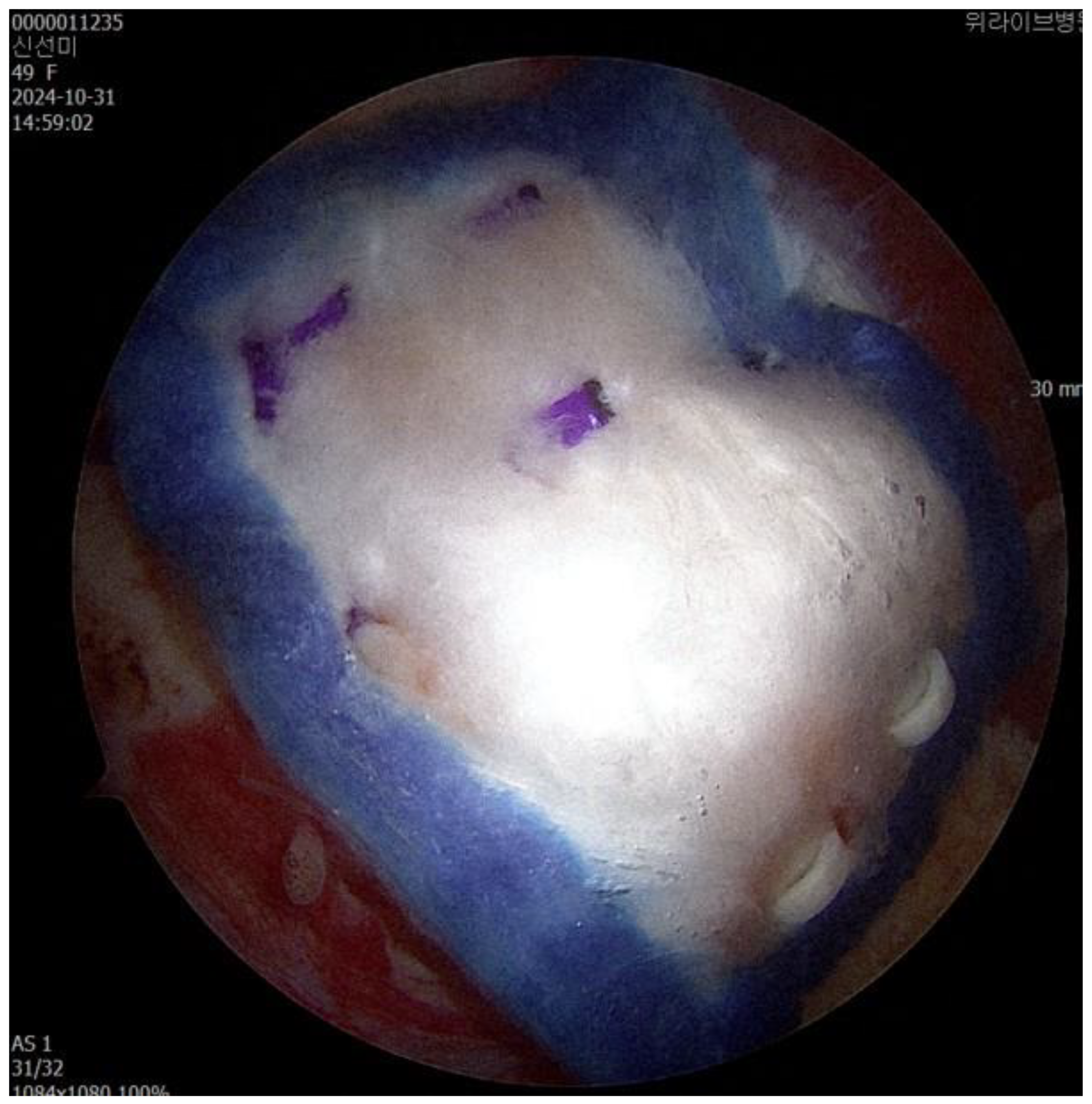 Preprints 155215 g001b