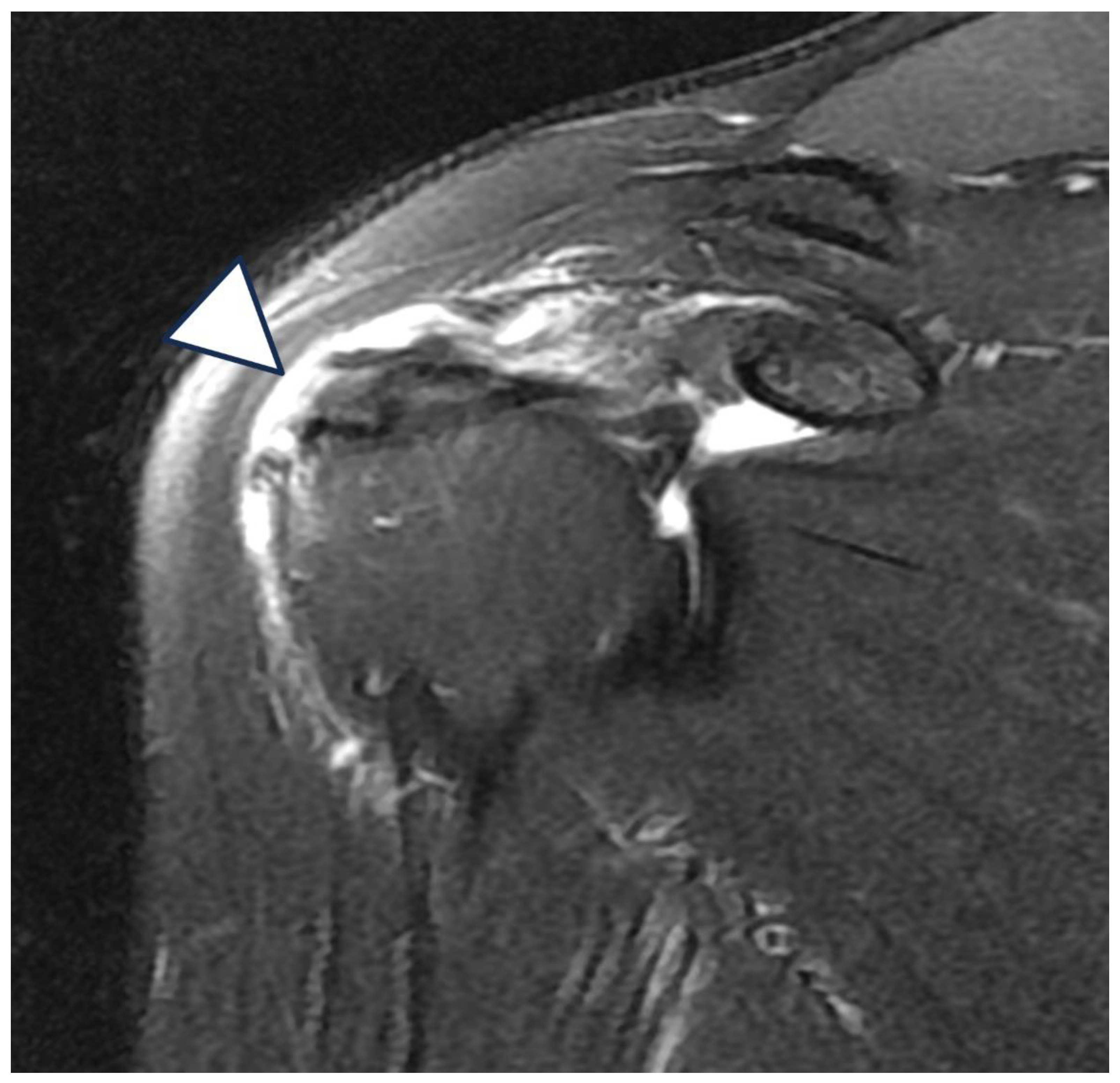 Preprints 155215 g002a