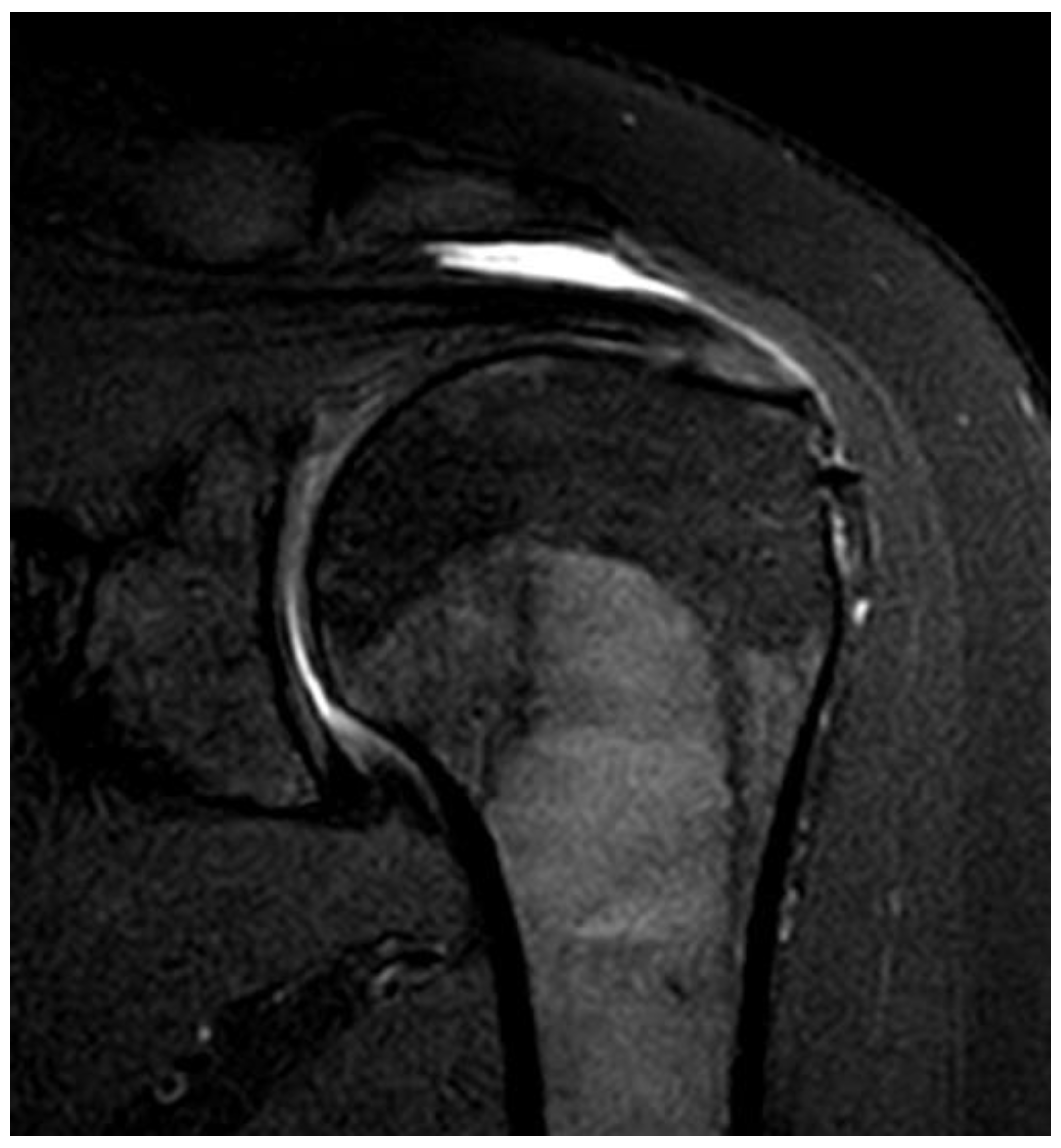 Preprints 155215 g002c