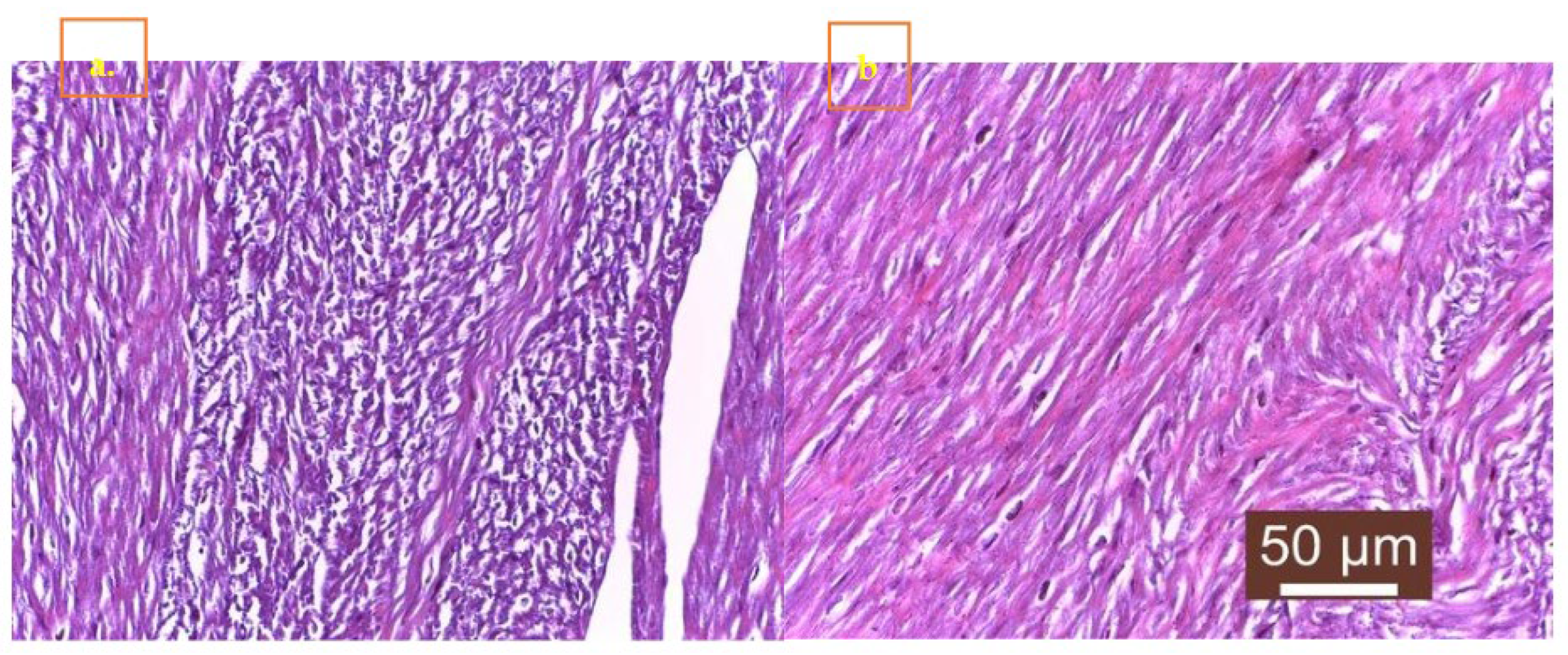 Preprints 145887 g004
