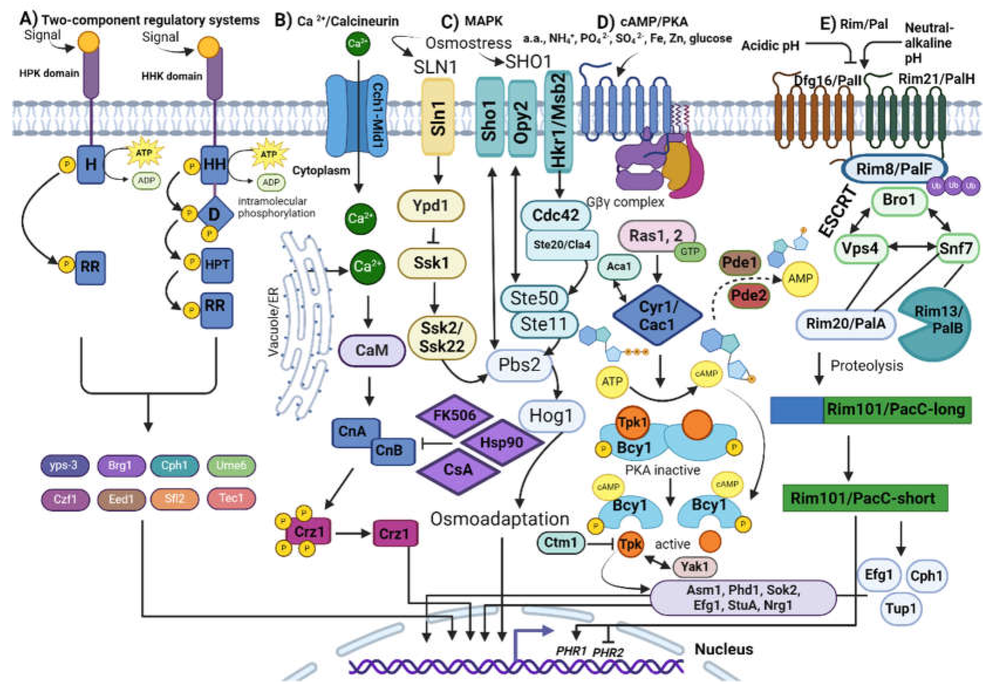Preprints 149345 g001