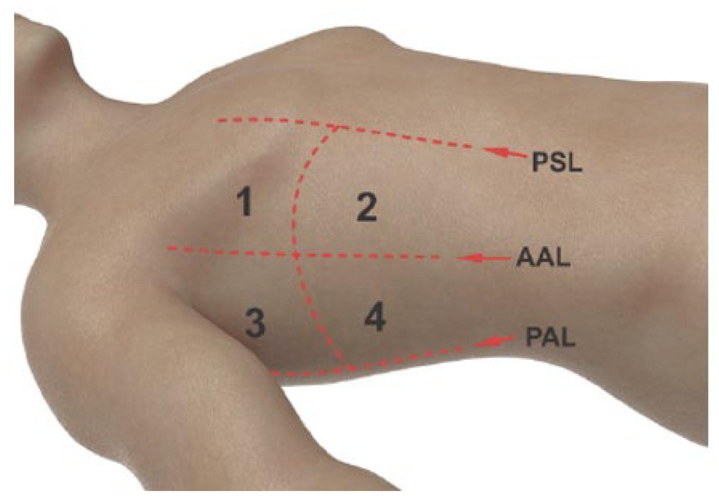 Preprints 173165 g002