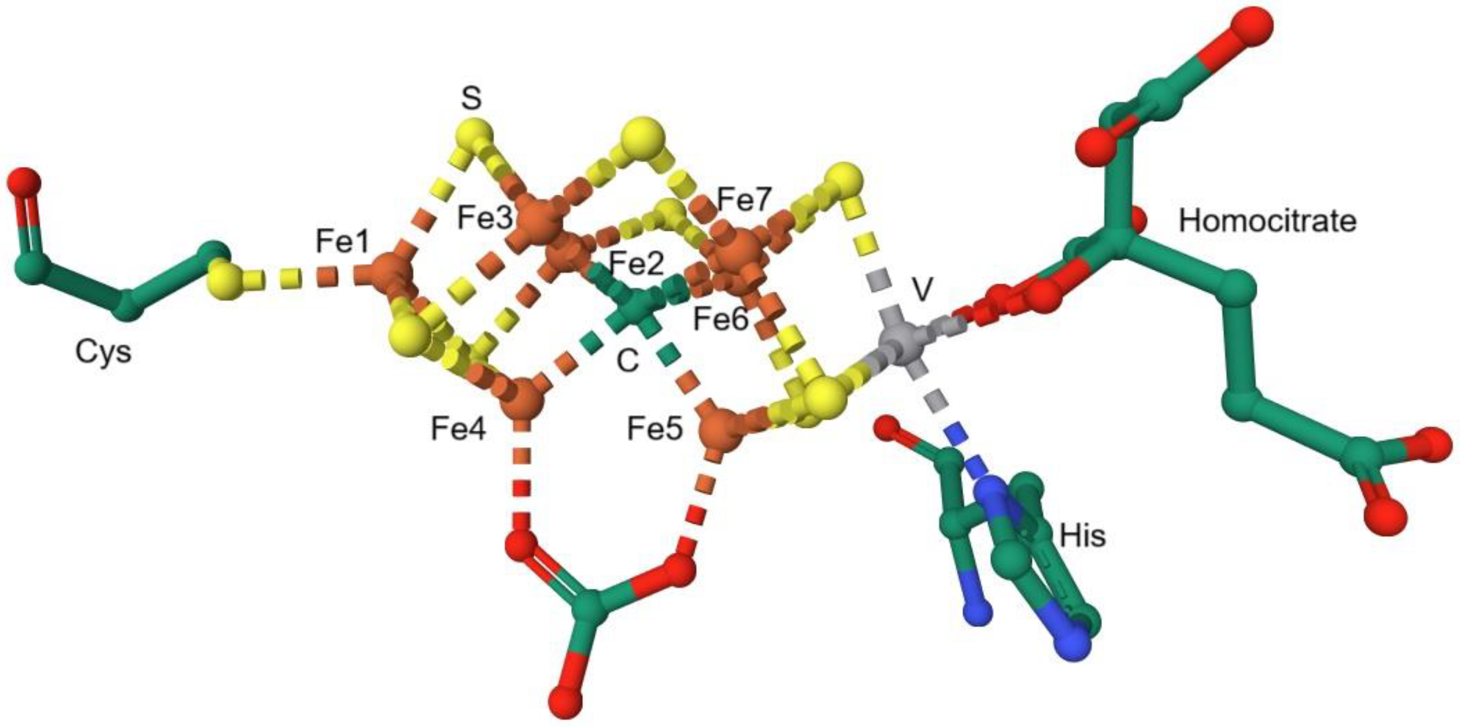 Preprints 149000 g006