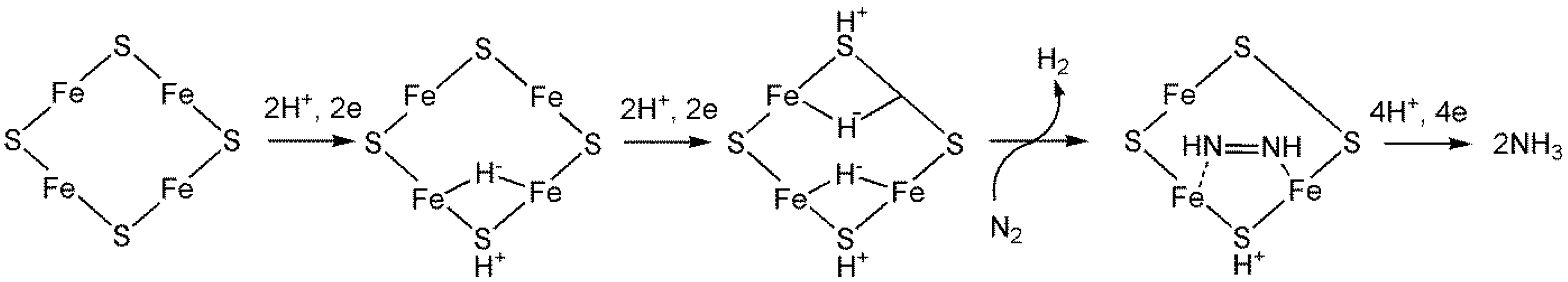 Preprints 149000 g007
