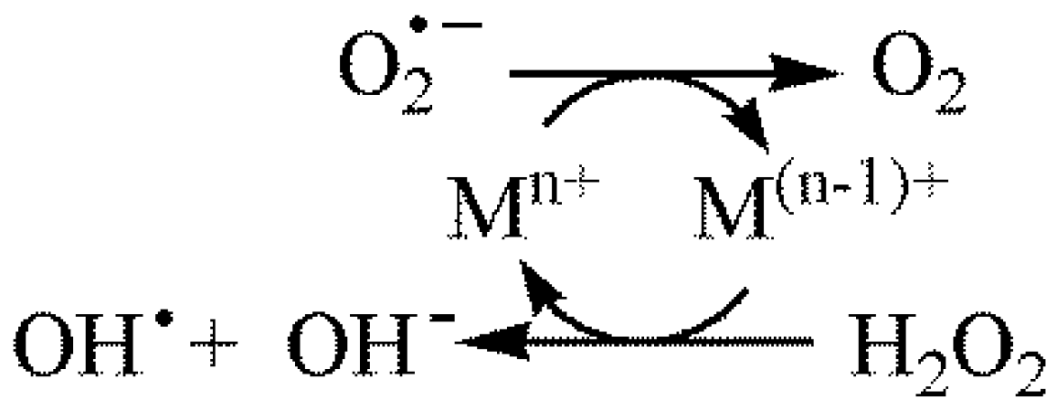 Preprints 149000 g010