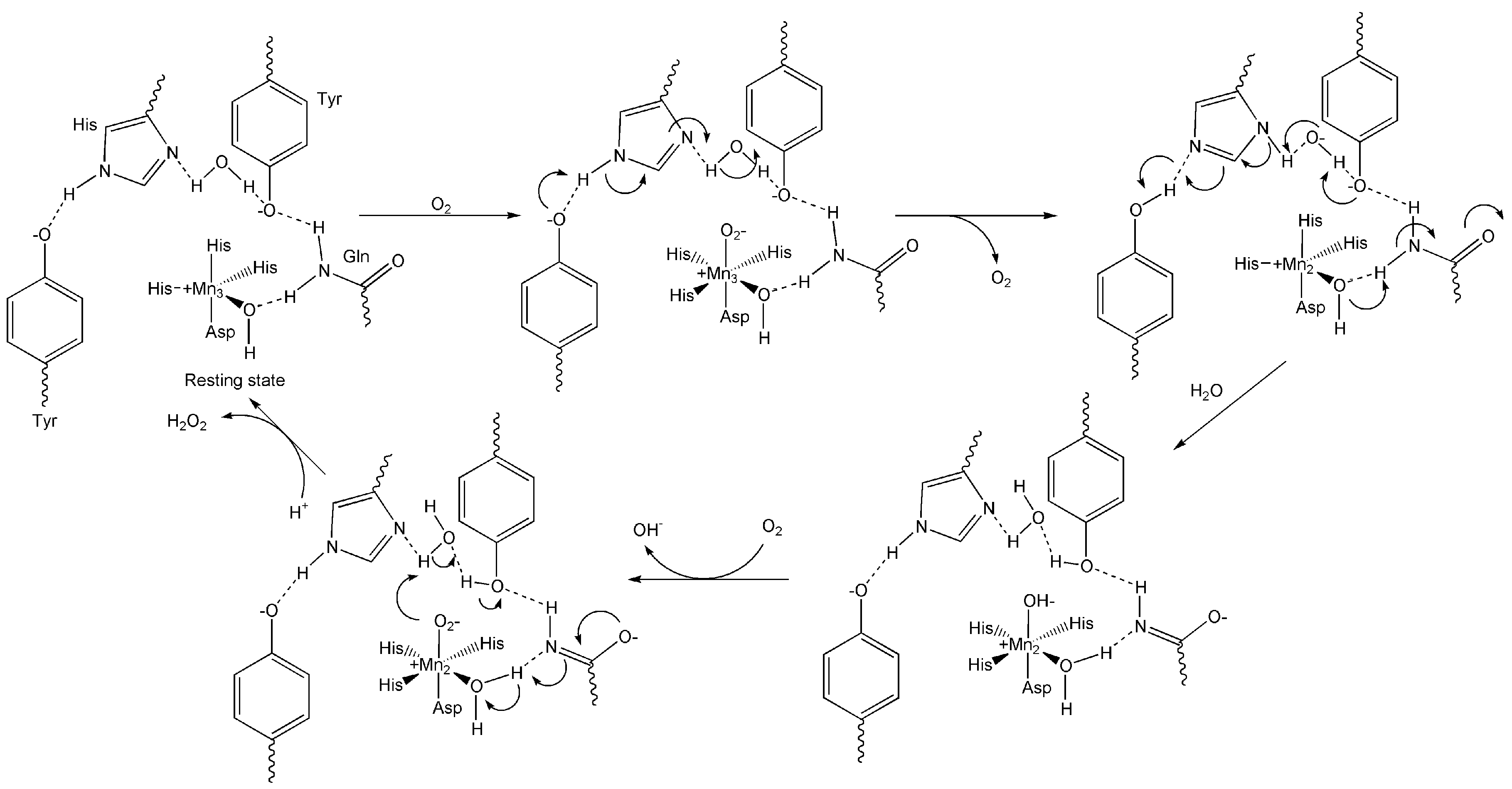 Preprints 149000 g013