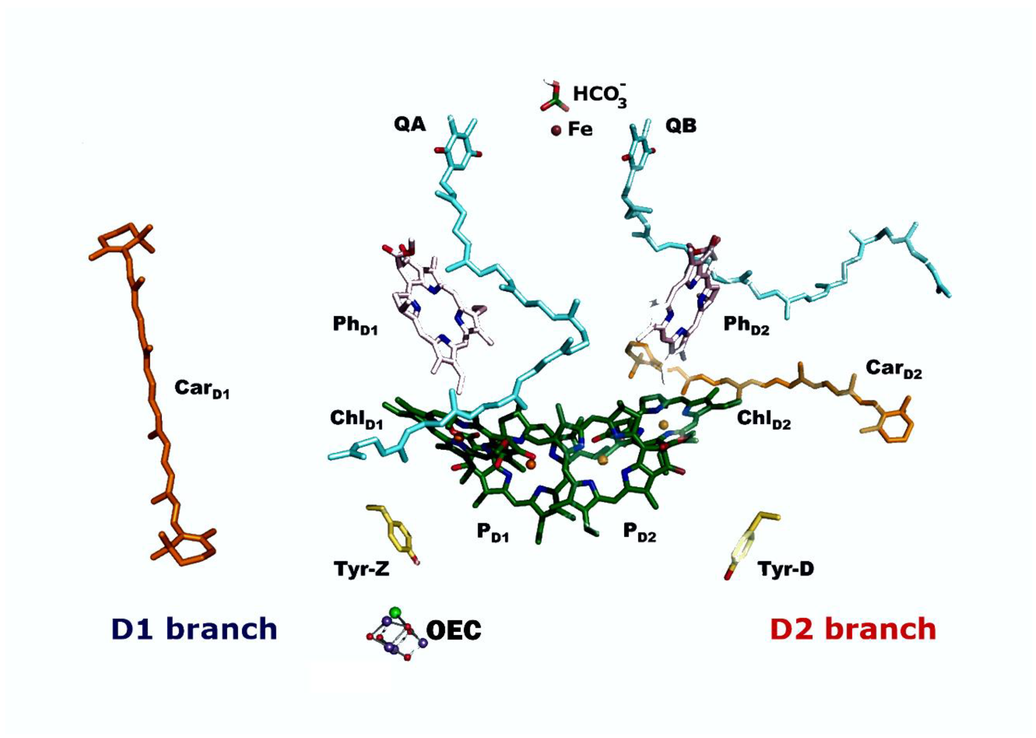 Preprints 149000 g014