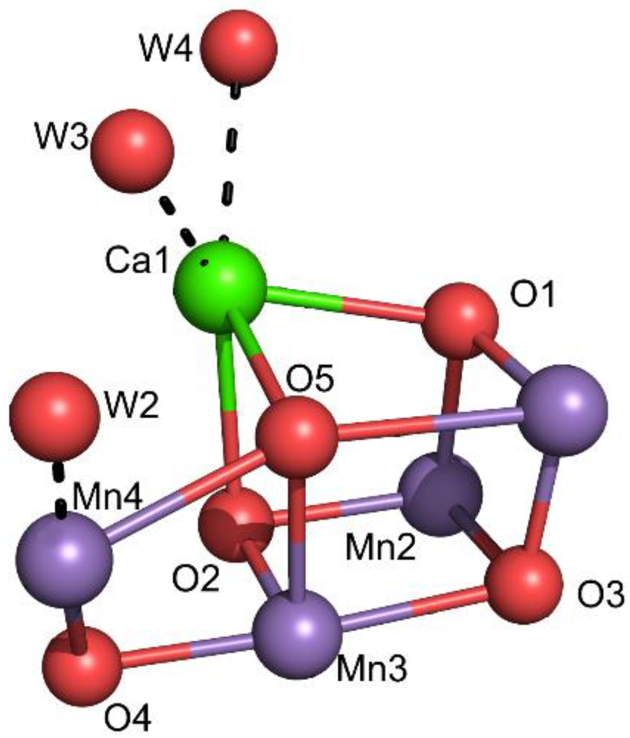 Preprints 149000 g015