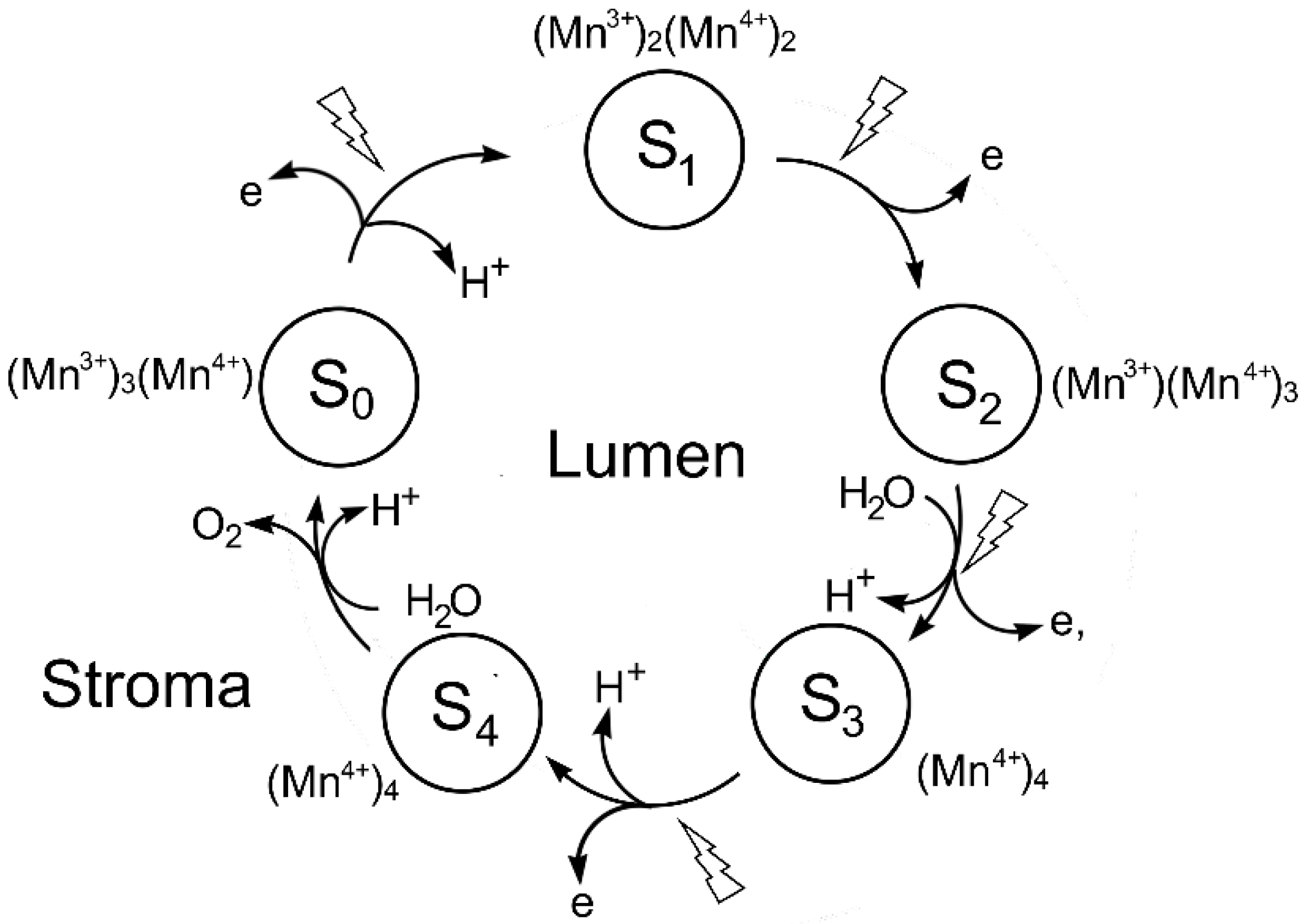Preprints 149000 g016