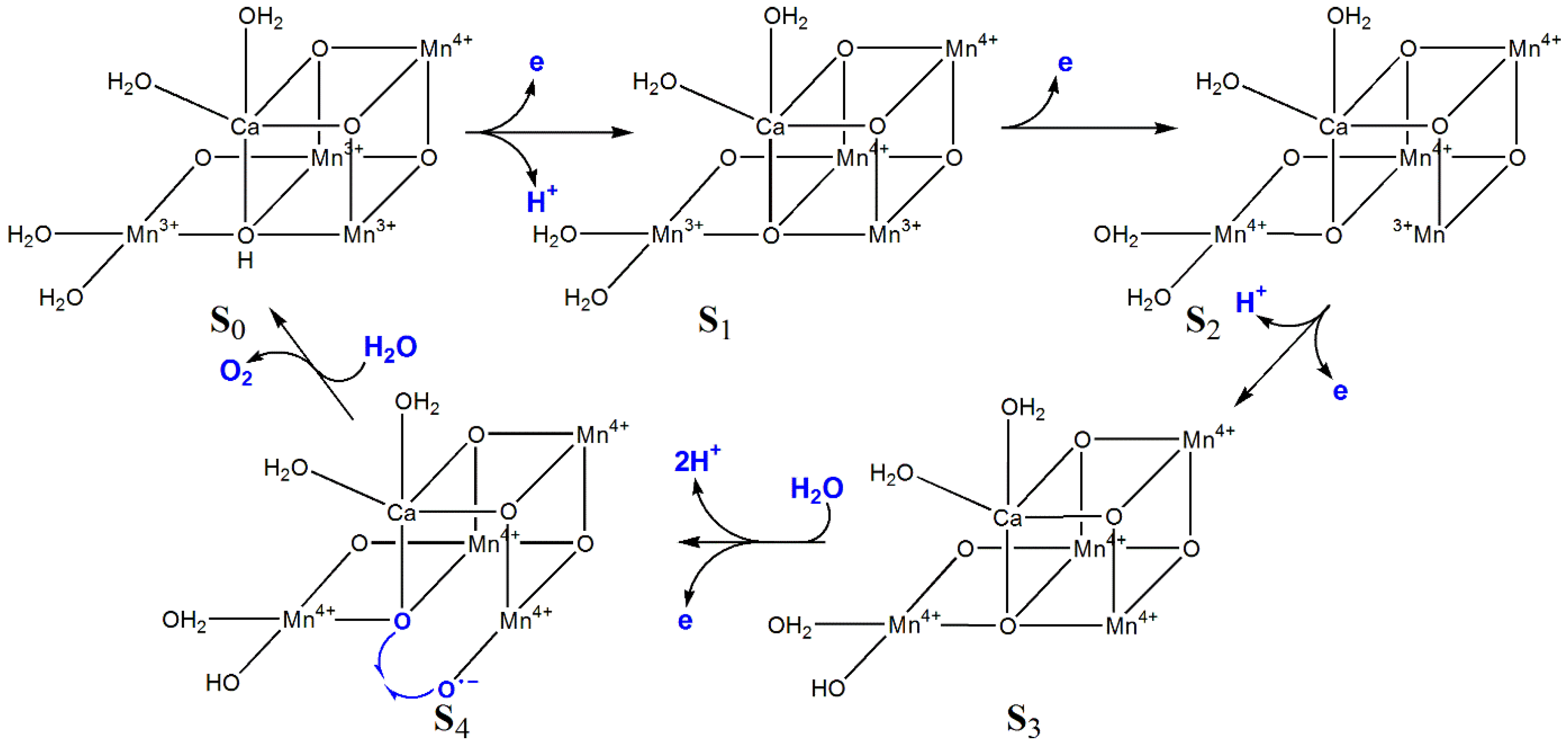 Preprints 149000 g017