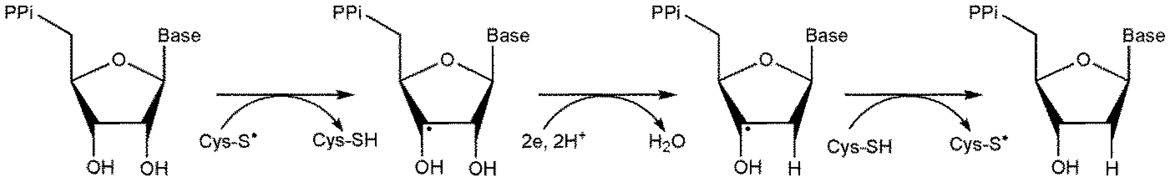 Preprints 149000 g018