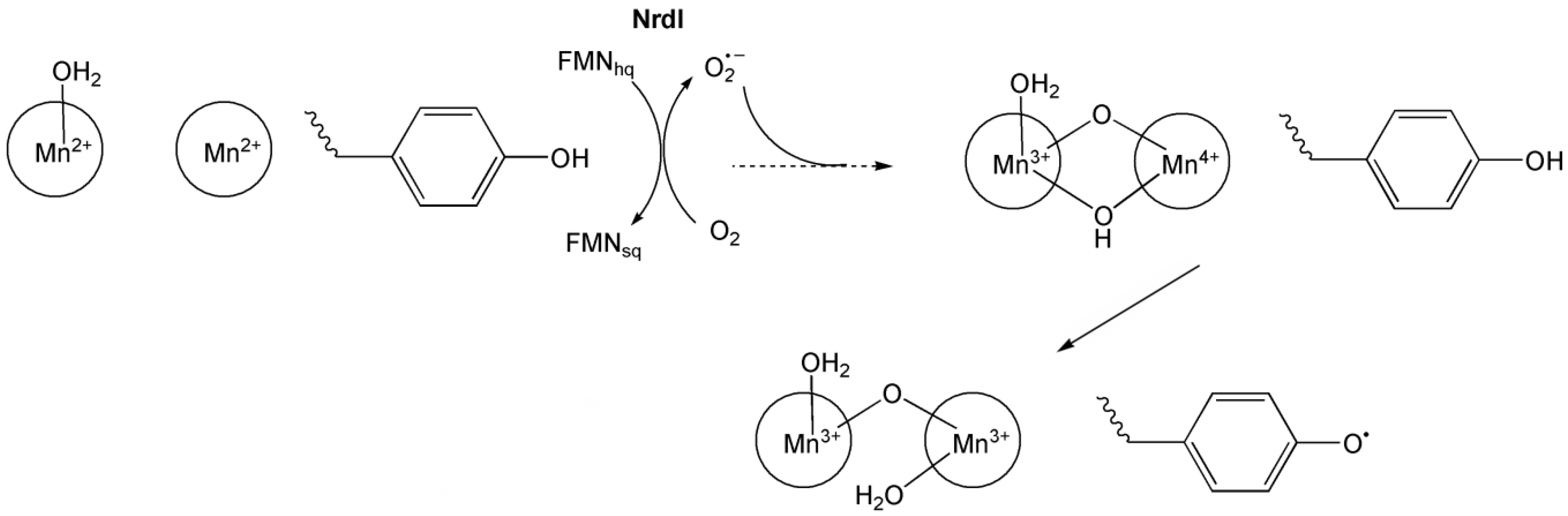 Preprints 149000 g019