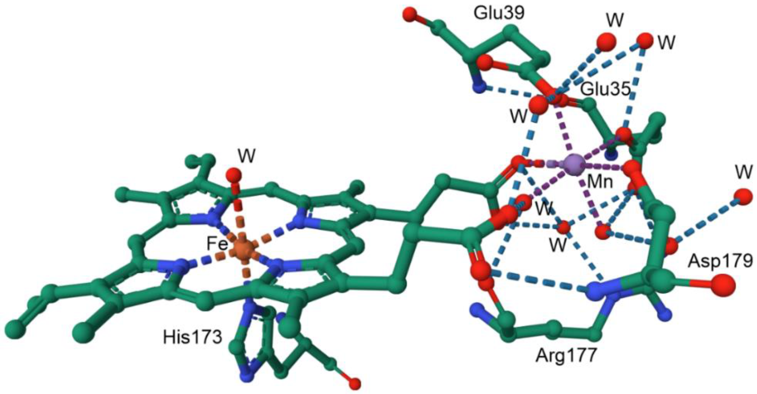 Preprints 149000 g020