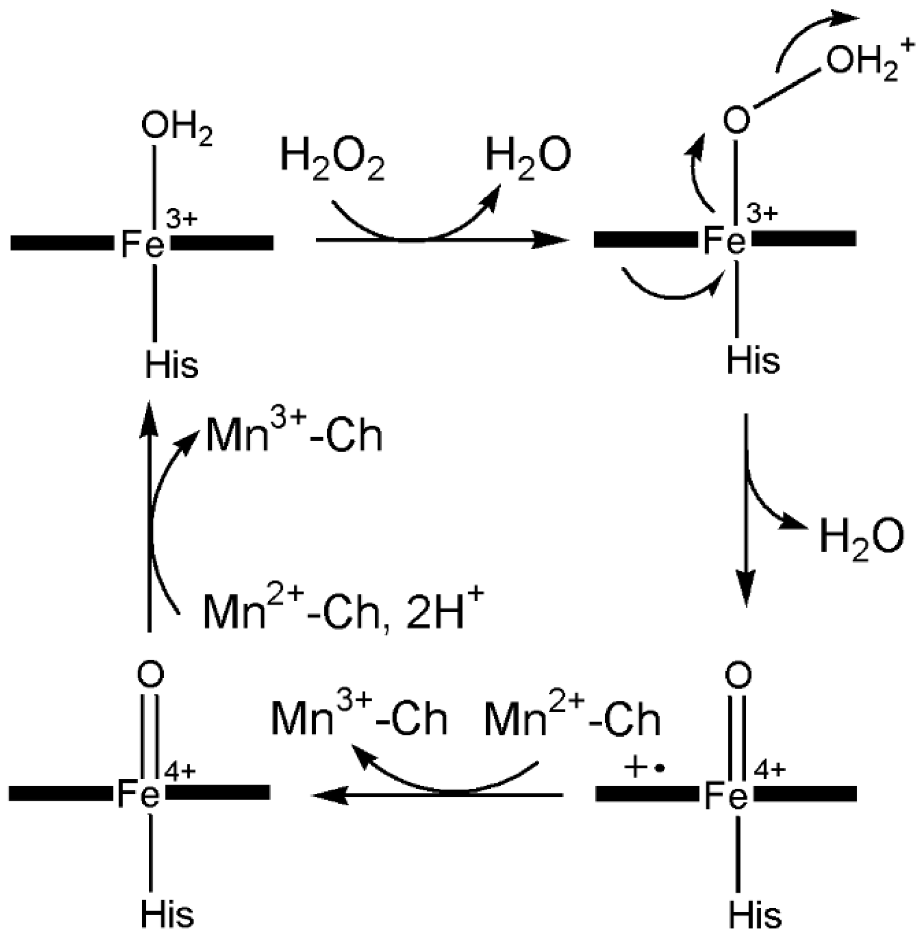 Preprints 149000 g021