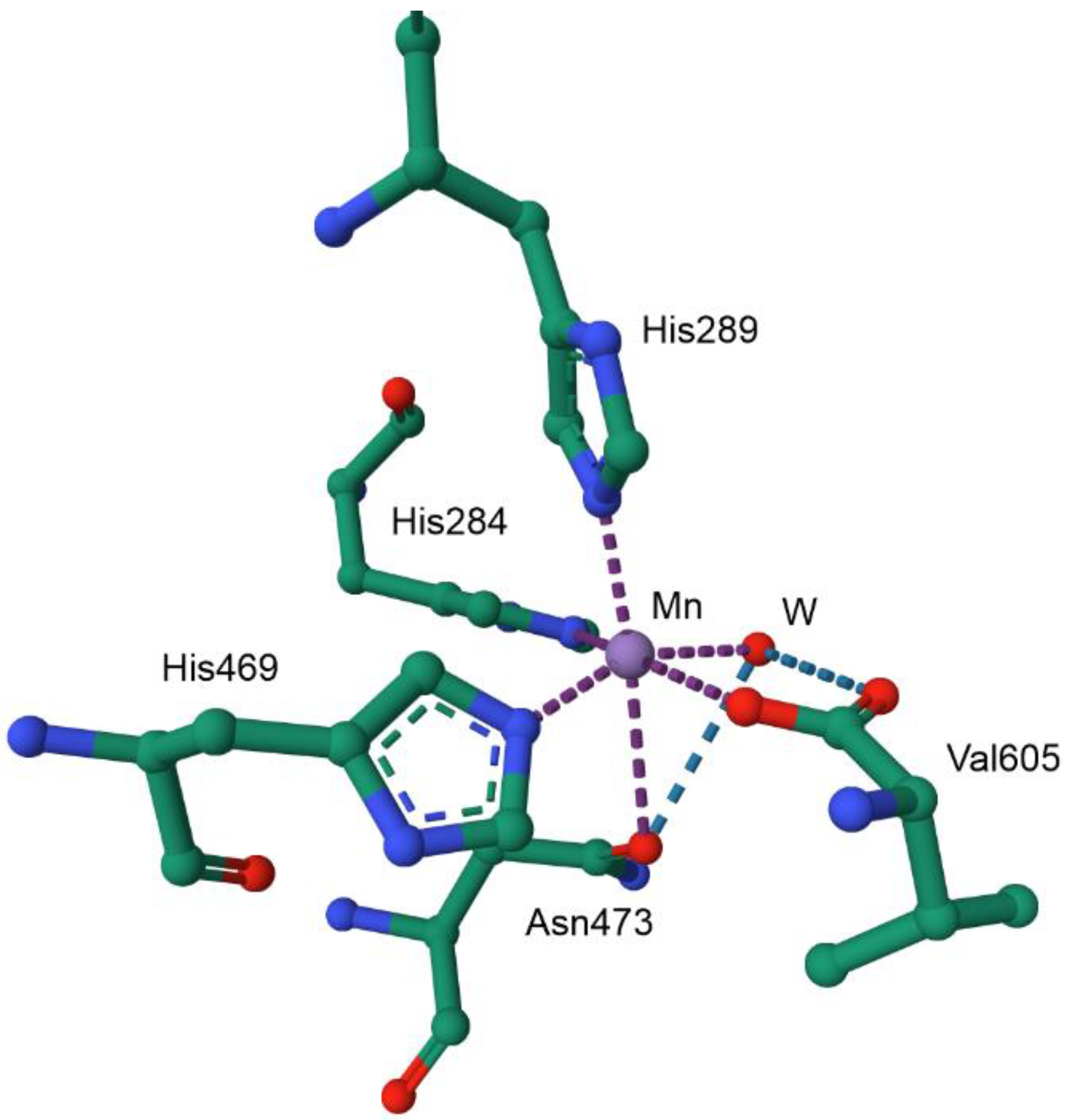 Preprints 149000 g023