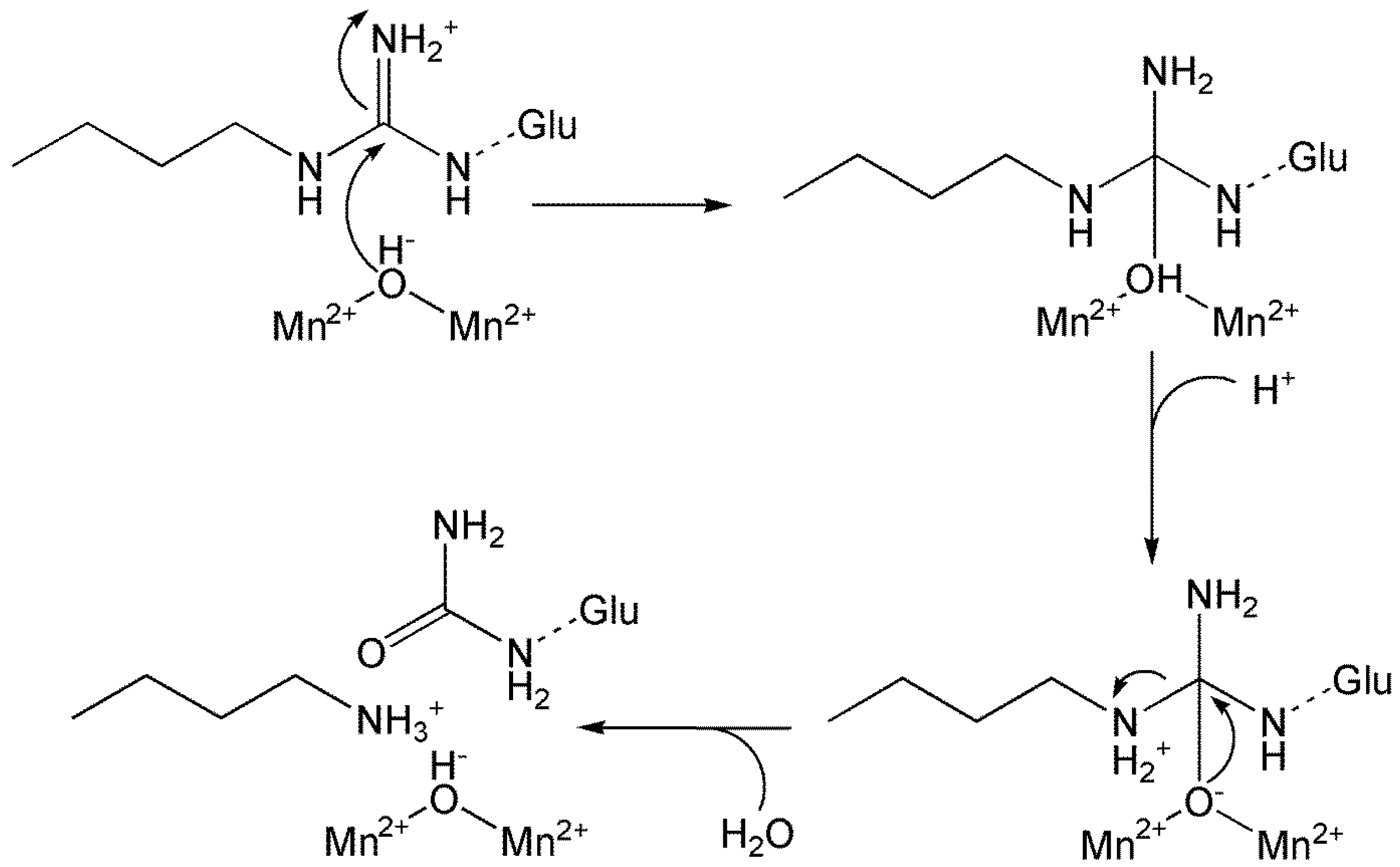 Preprints 149000 g026