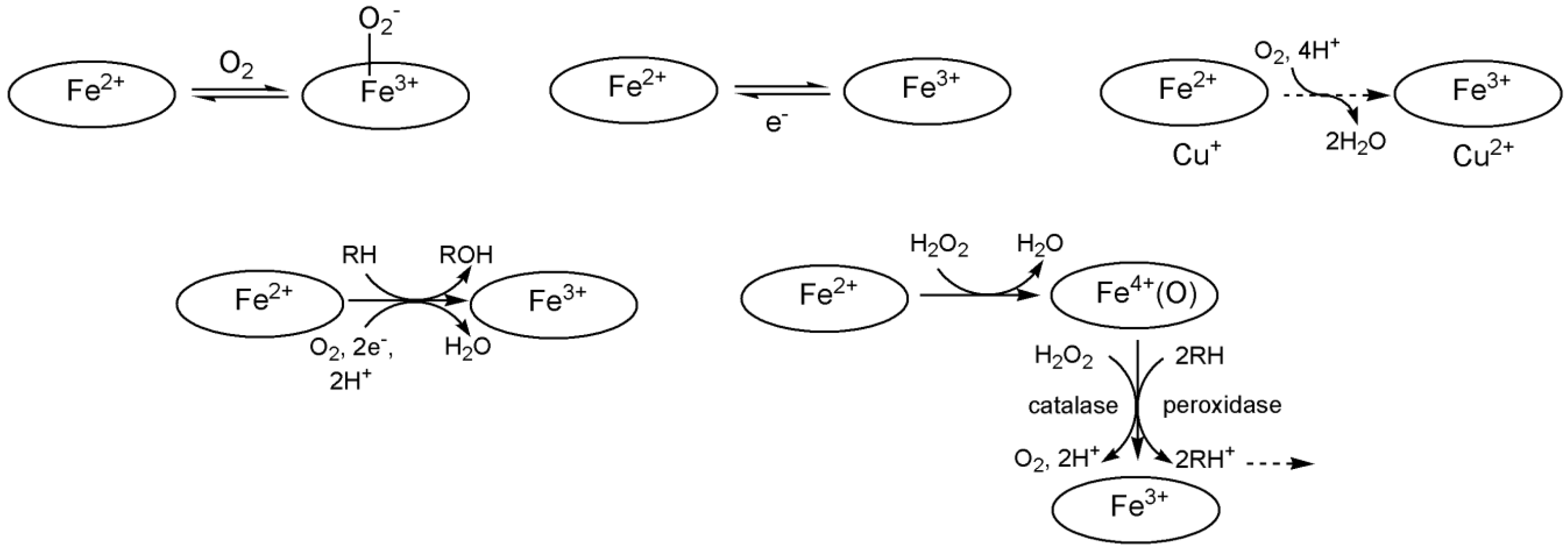 Preprints 149000 g027