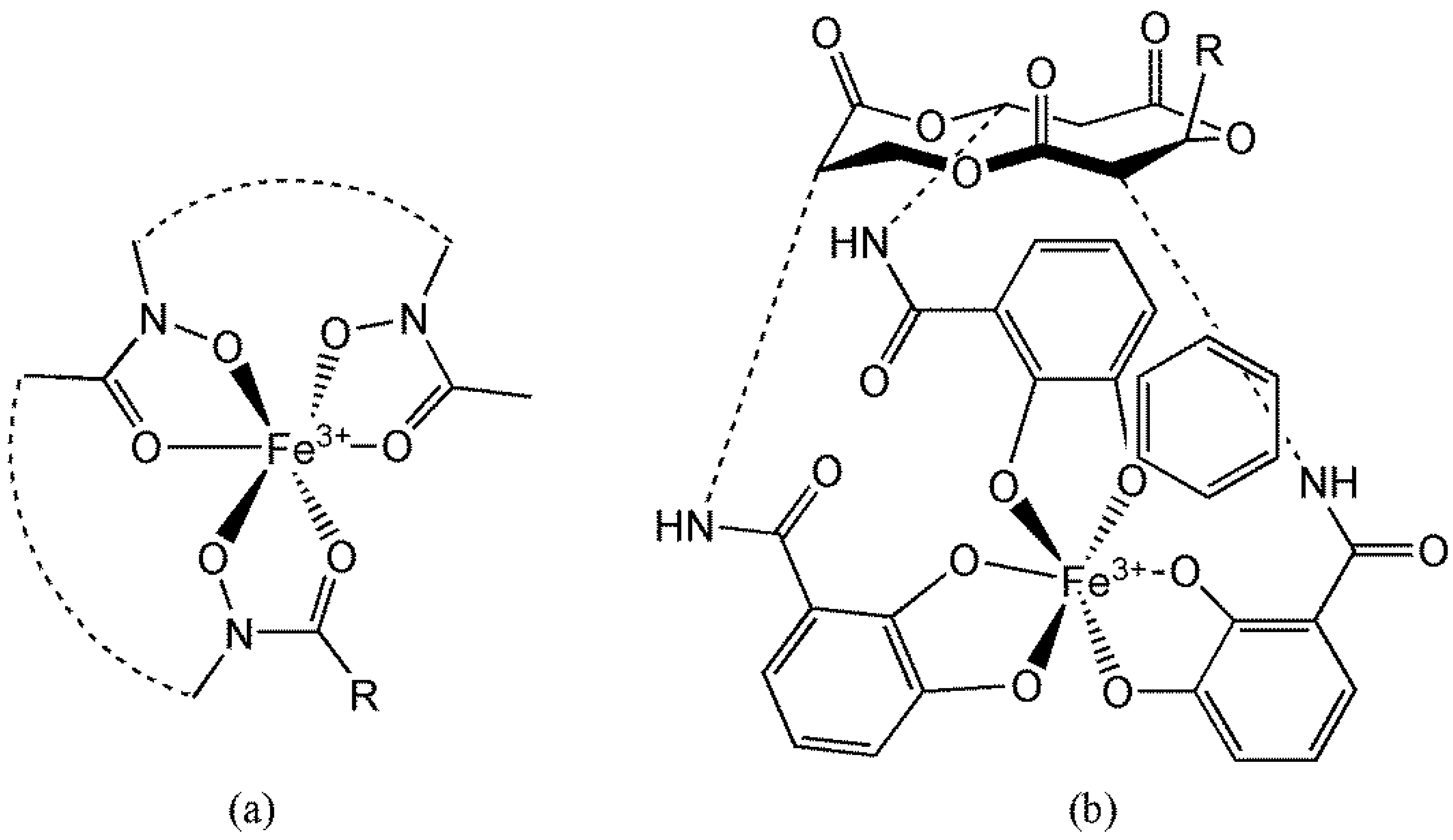 Preprints 149000 g028