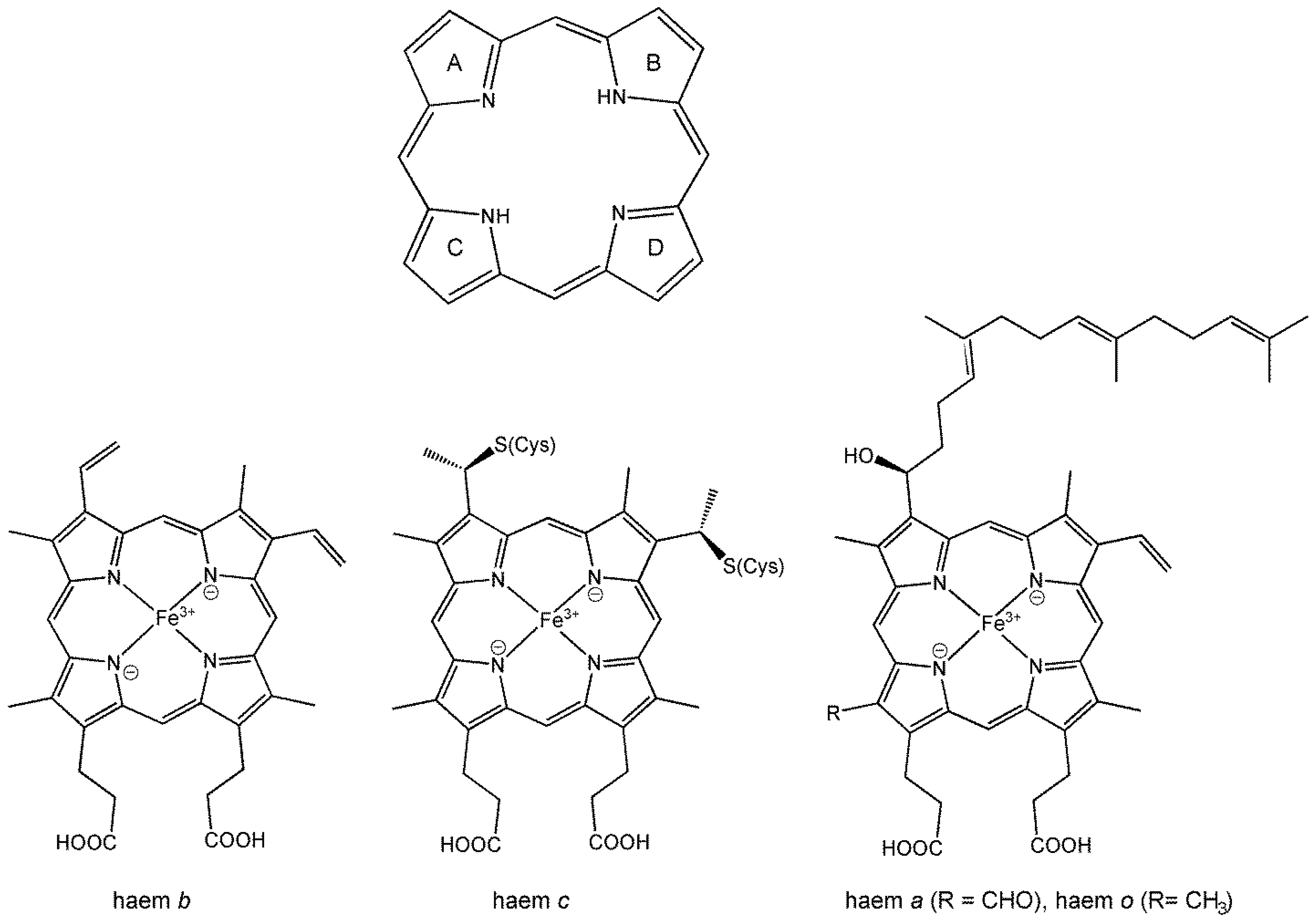 Preprints 149000 g030