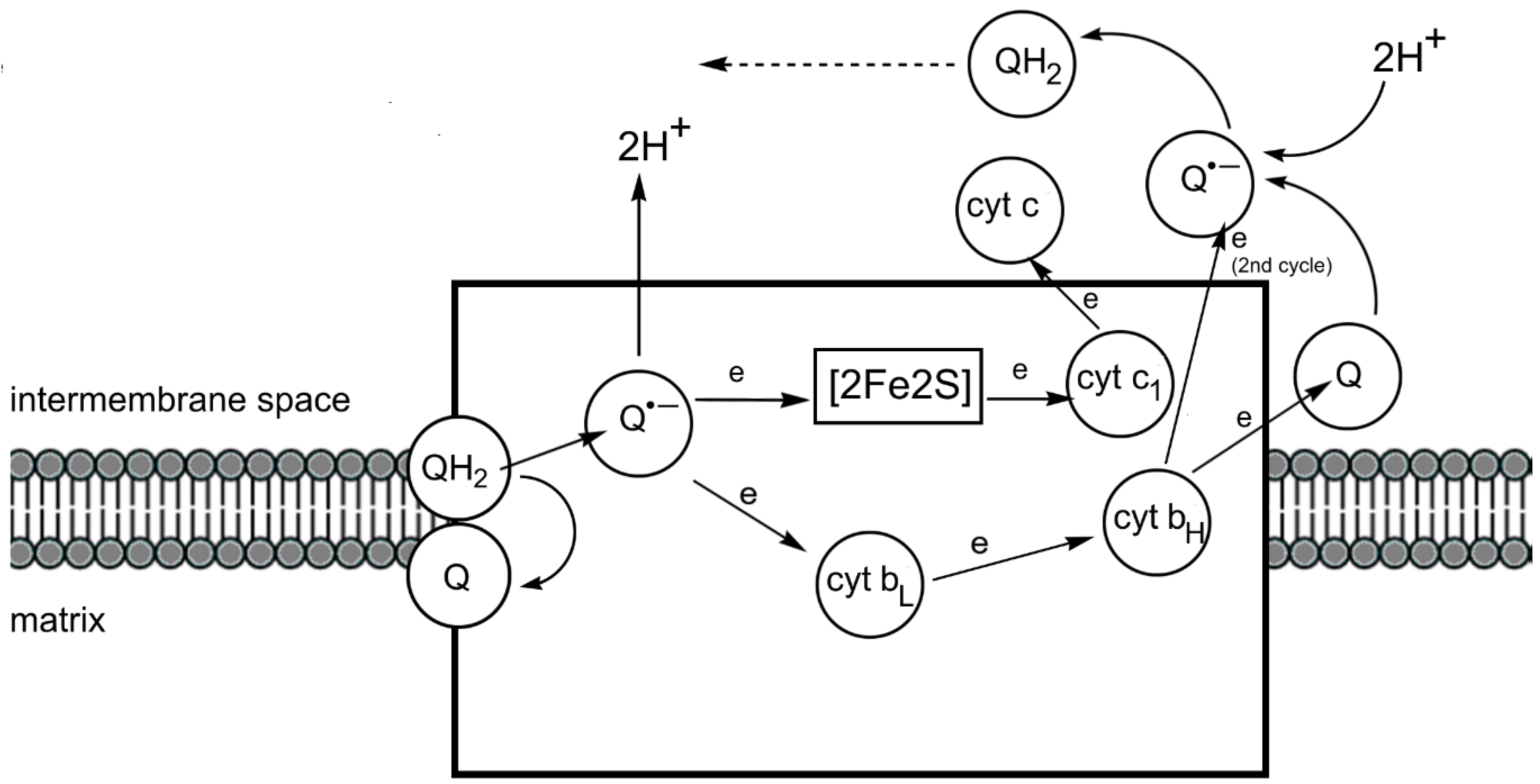 Preprints 149000 g038