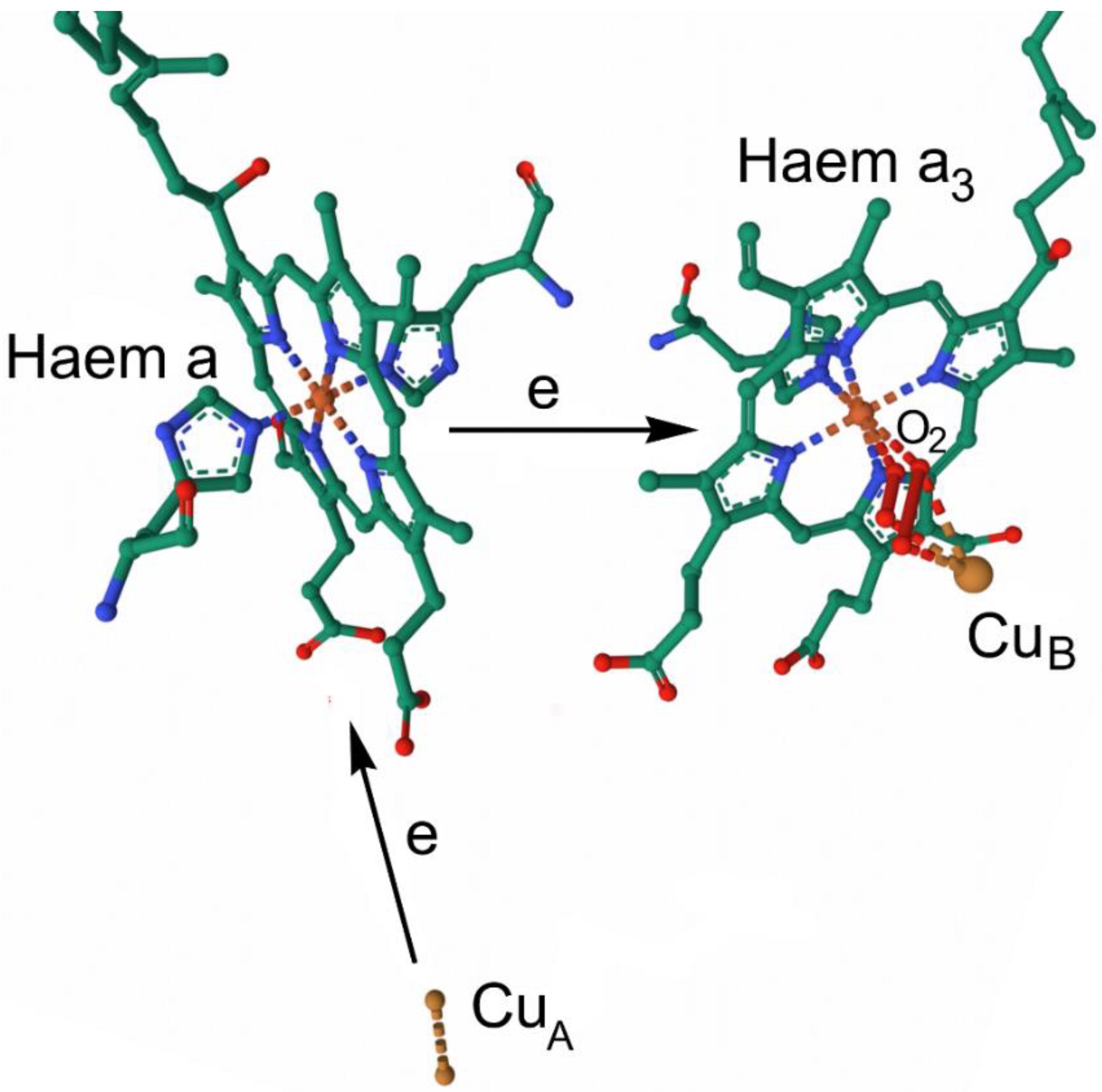 Preprints 149000 g039