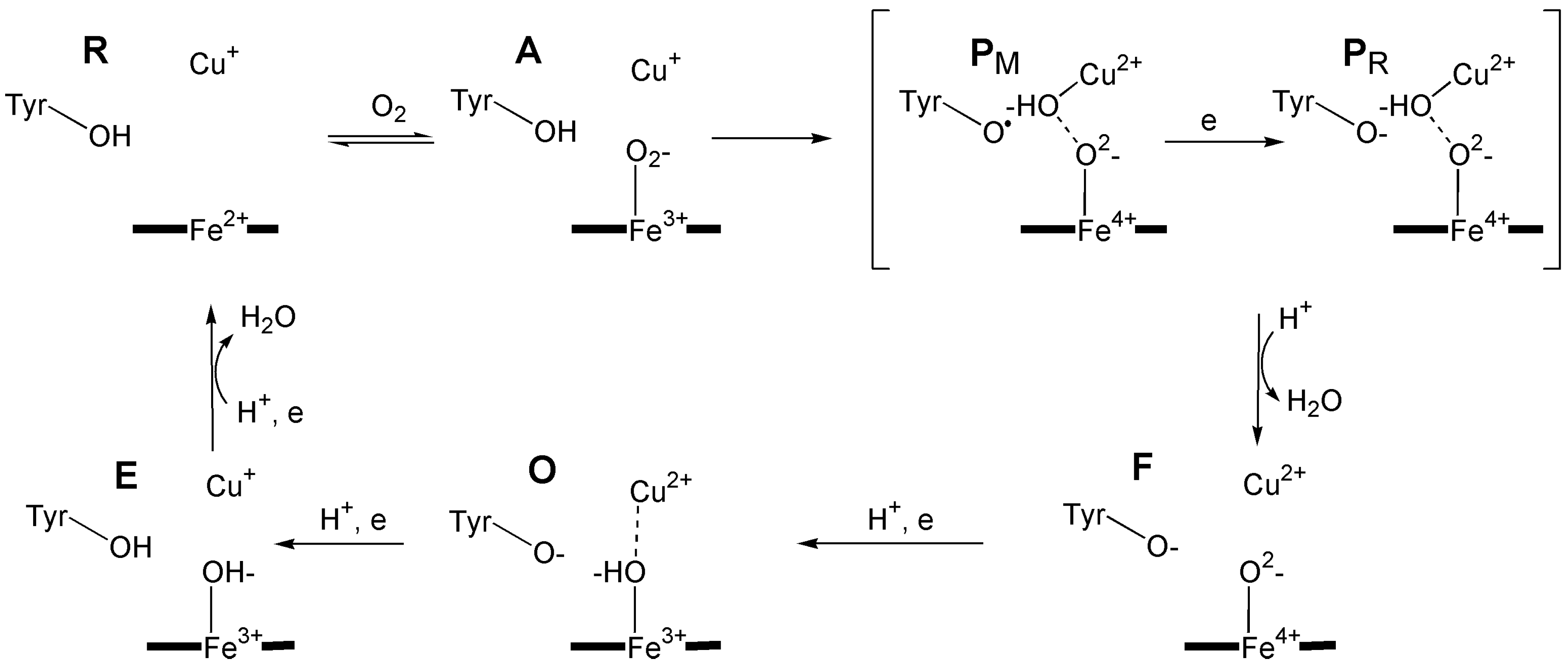Preprints 149000 g040