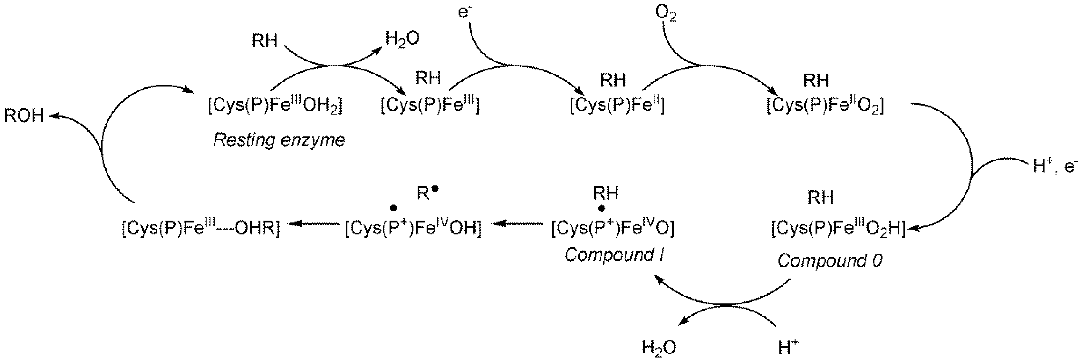 Preprints 149000 g041