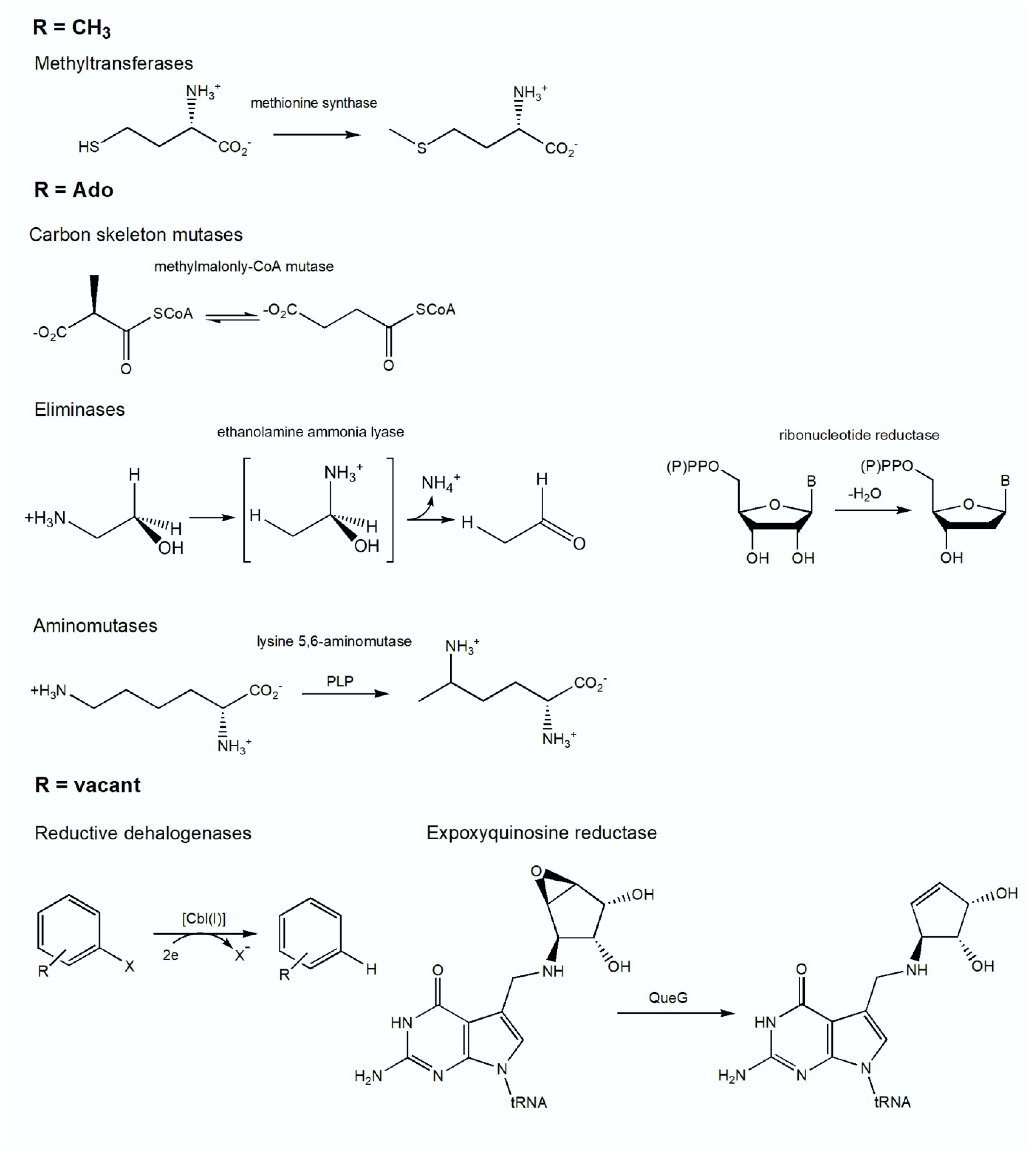 Preprints 149000 g043