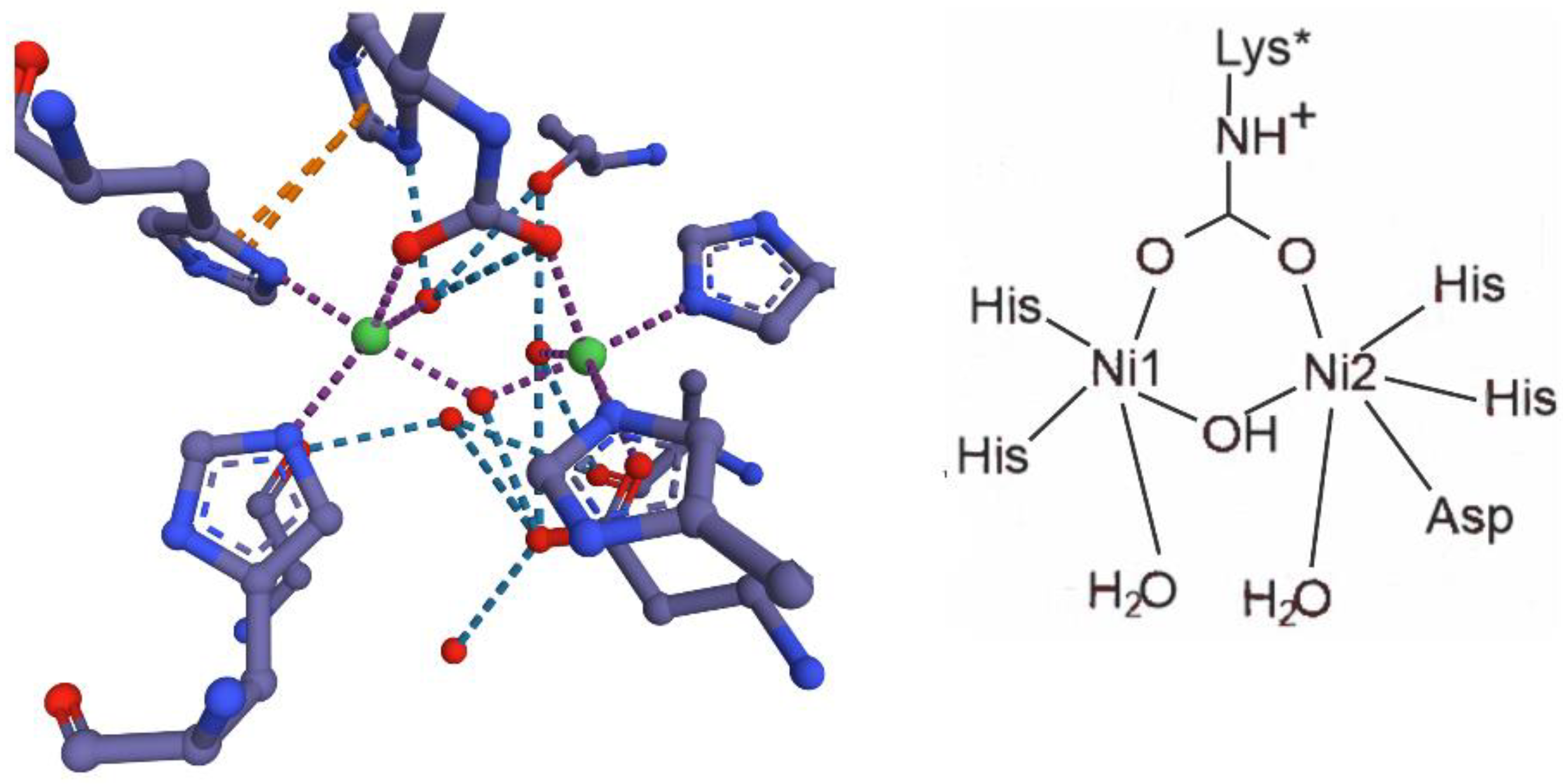 Preprints 149000 g047