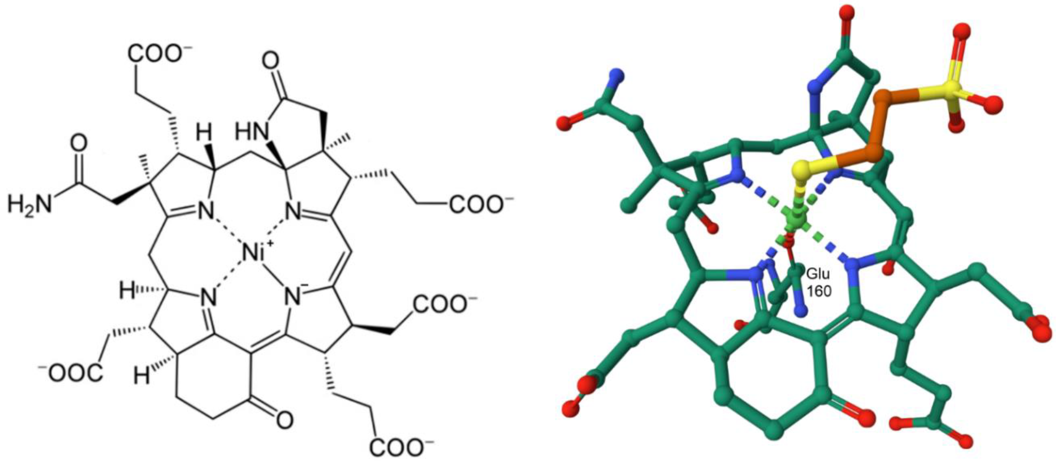 Preprints 149000 g049