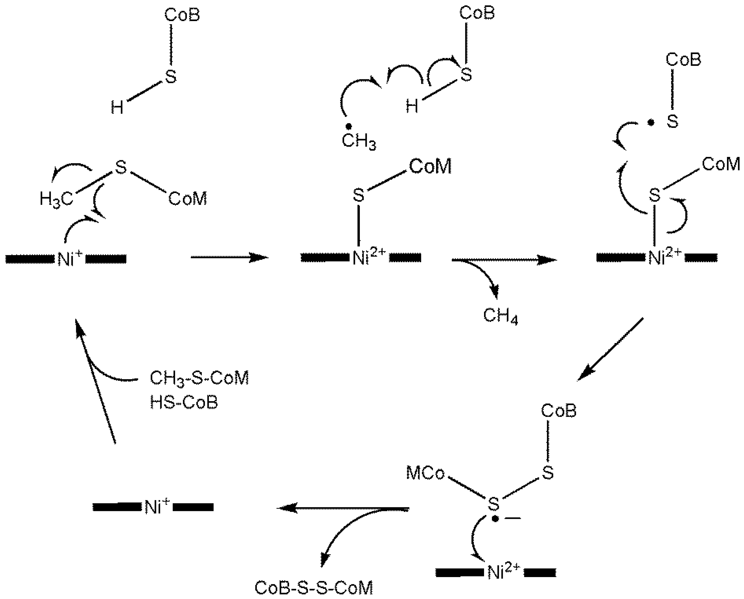 Preprints 149000 g050