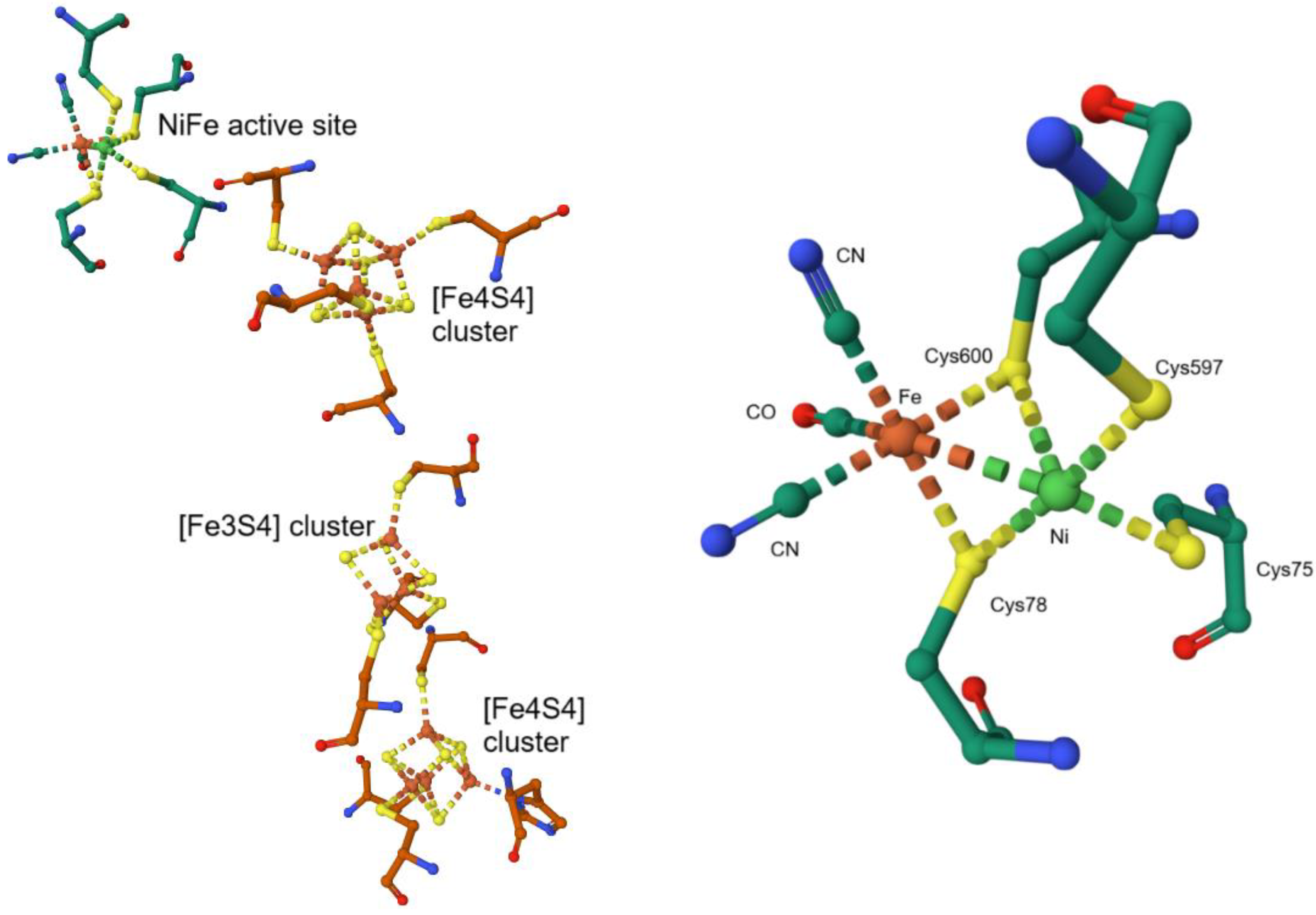 Preprints 149000 g051