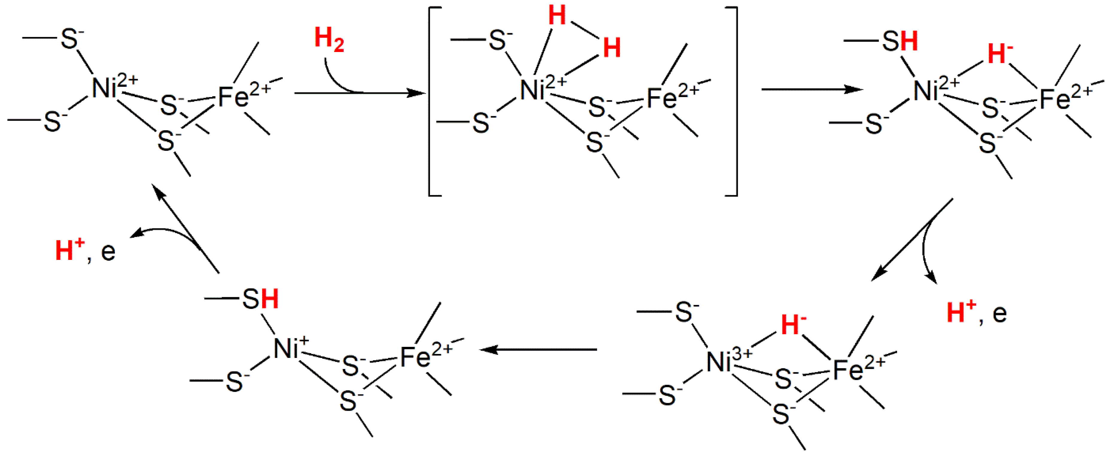 Preprints 149000 g052