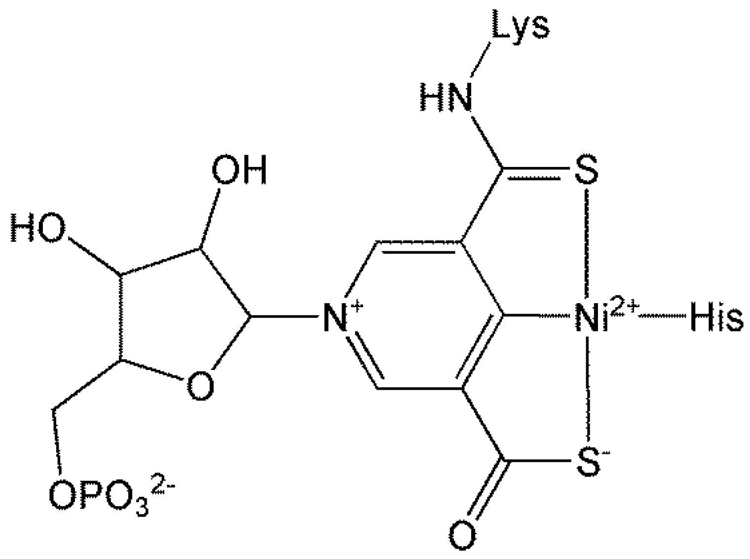 Preprints 149000 g053