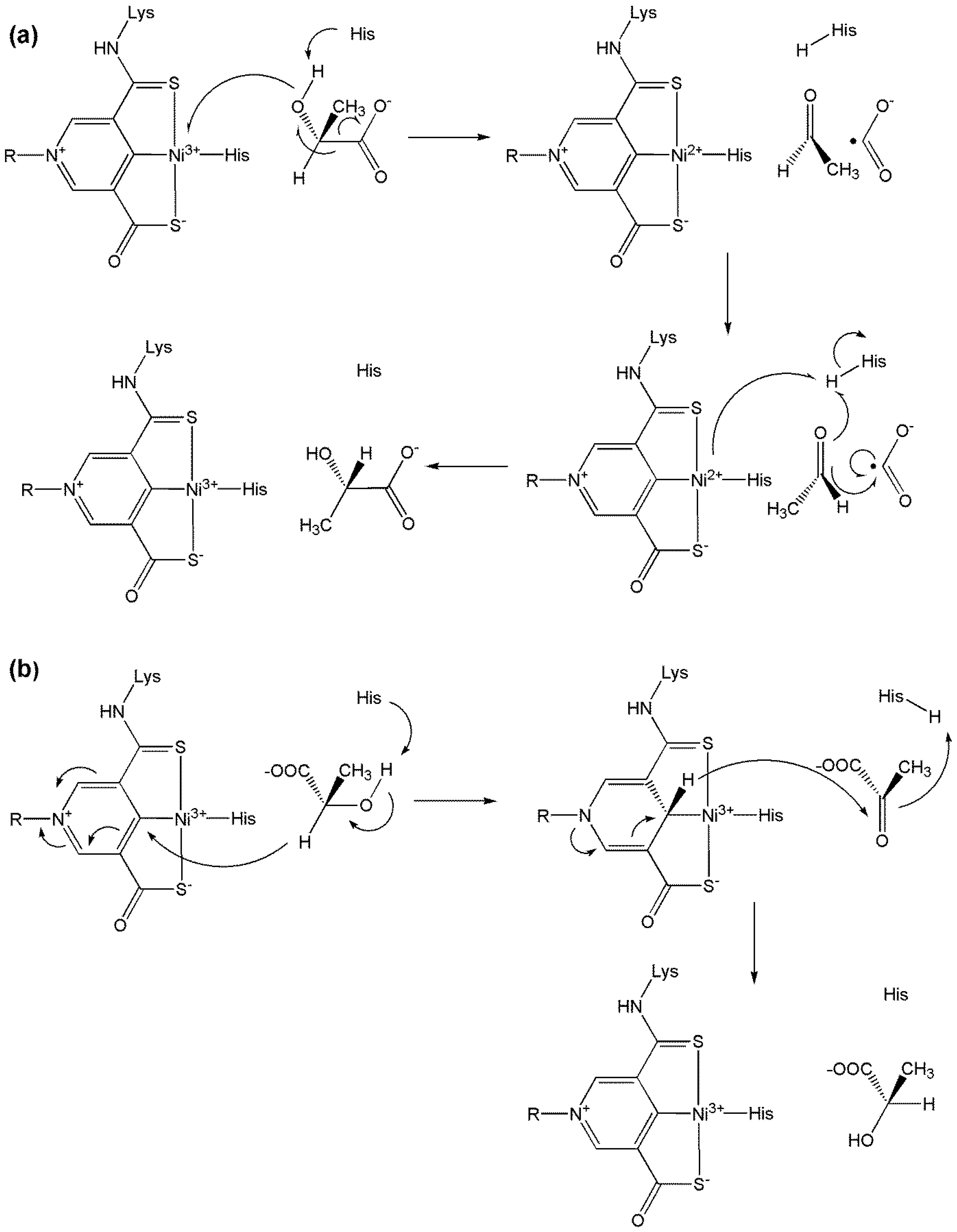 Preprints 149000 g054