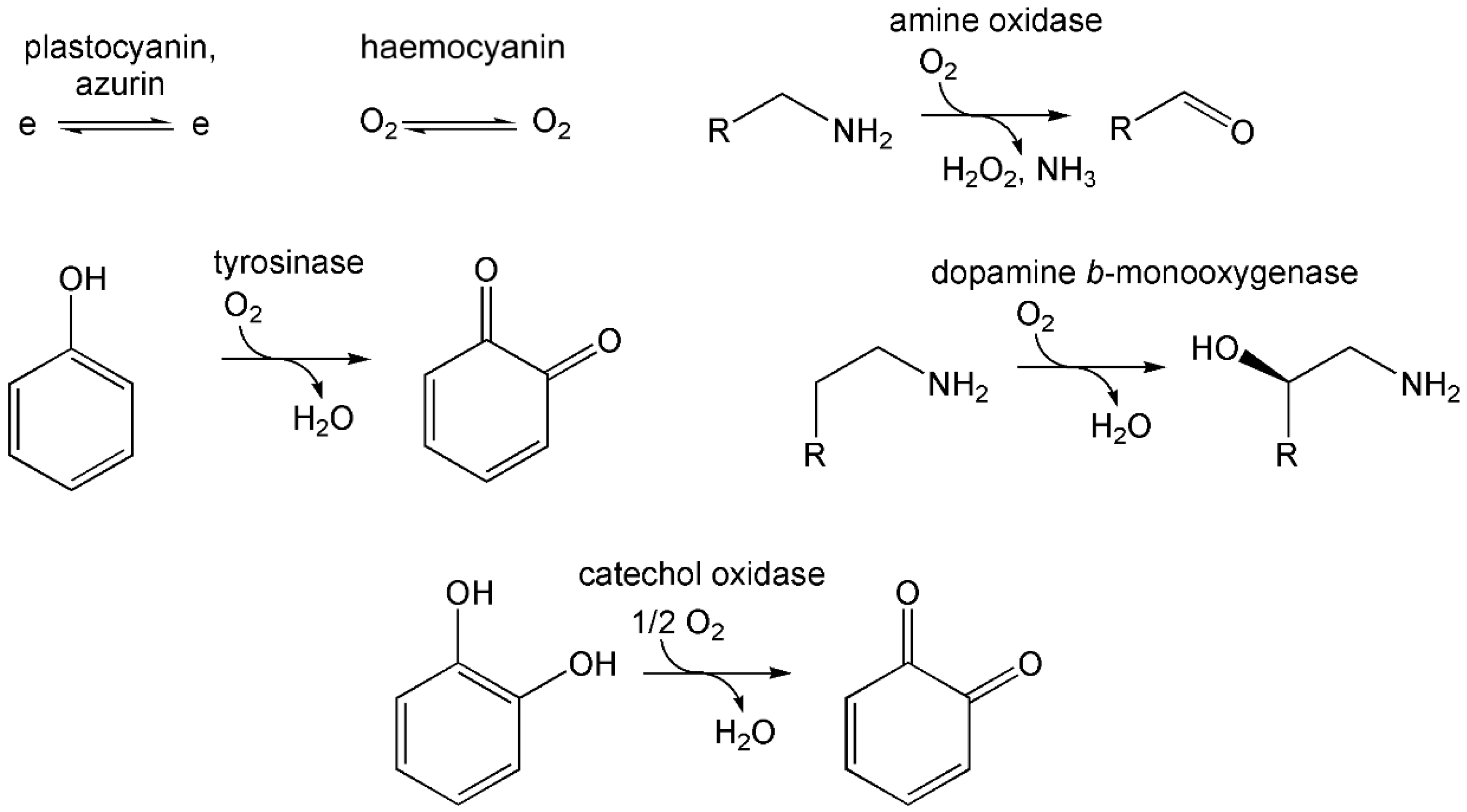 Preprints 149000 g055