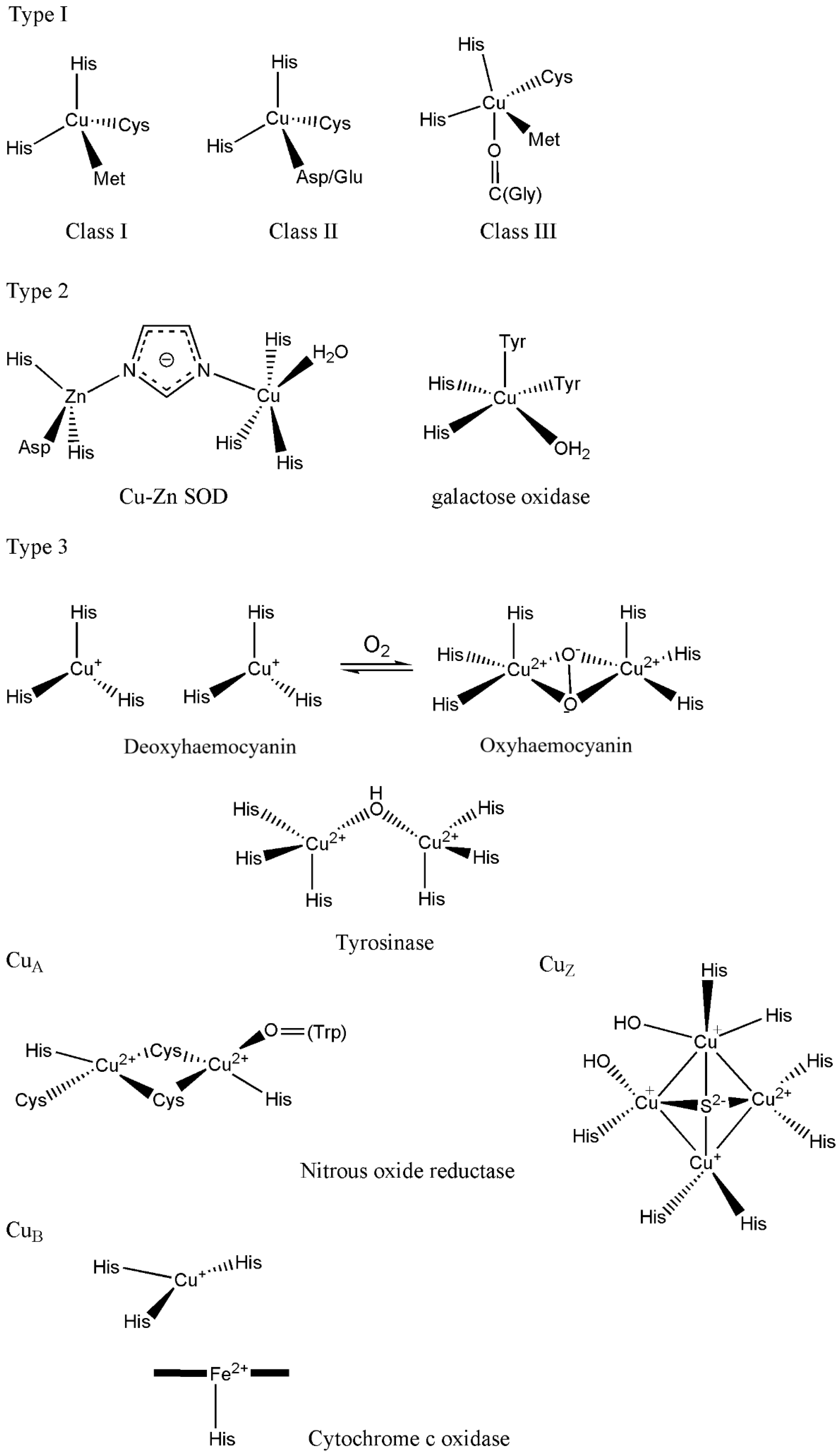 Preprints 149000 g056